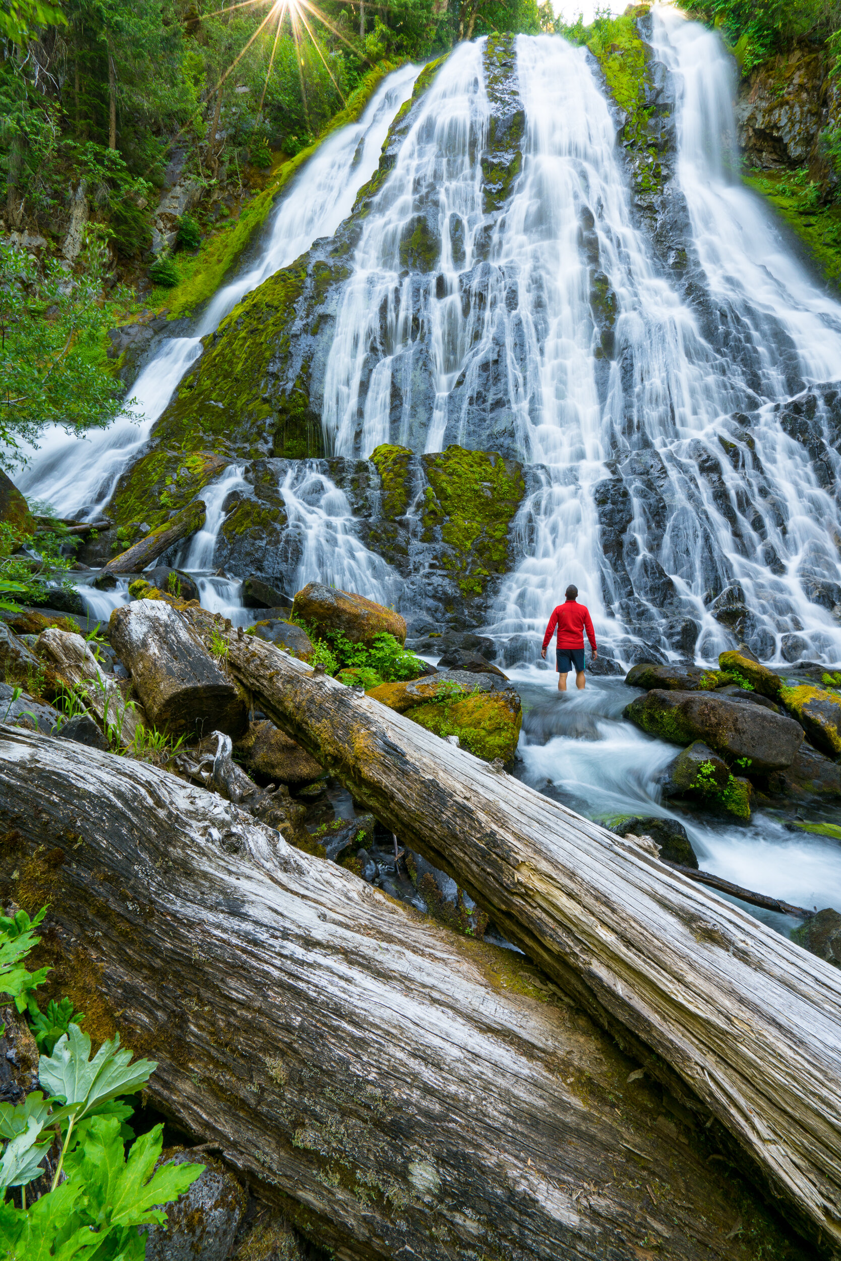 Diamond Creek Falls, Oregon