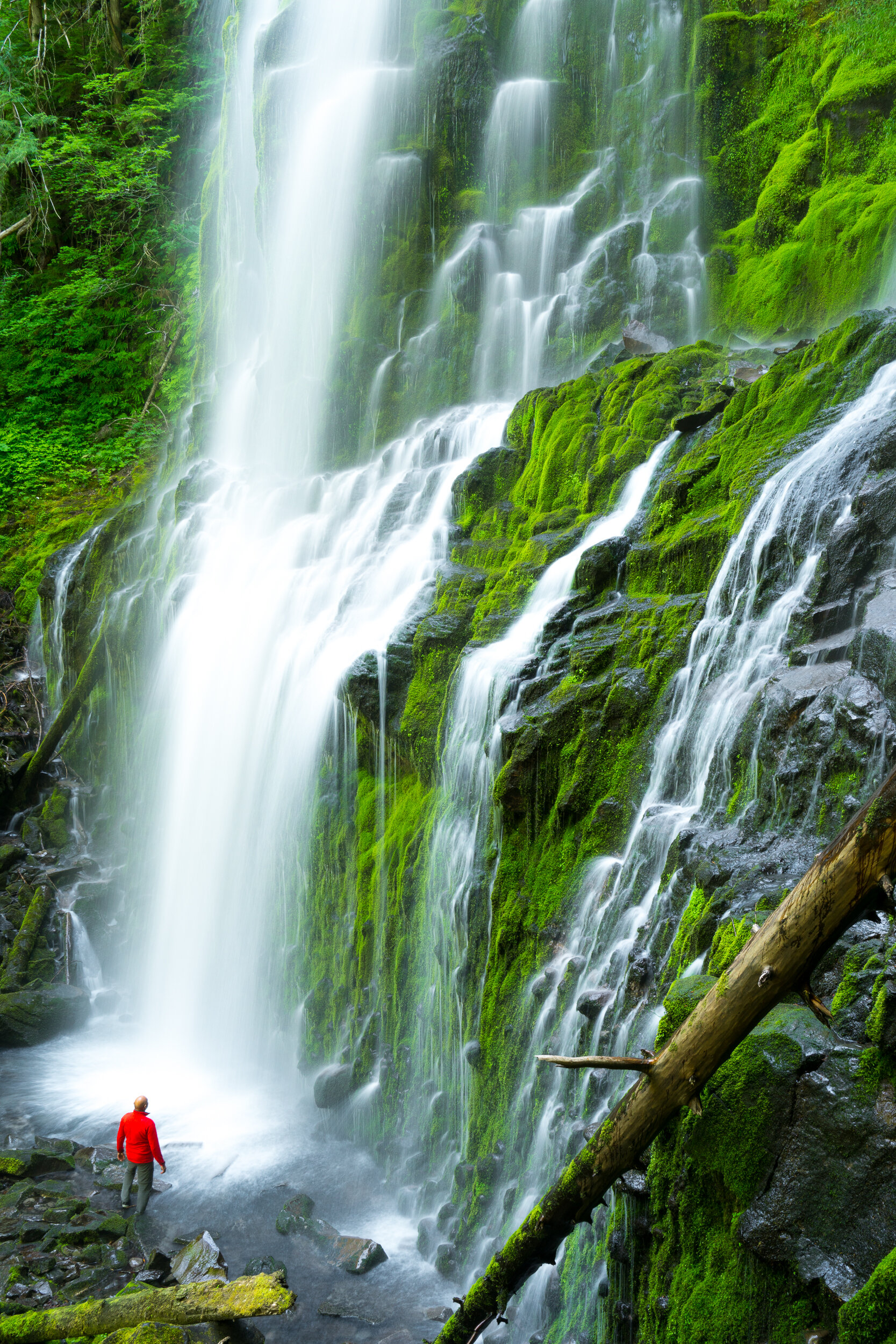 Lower Proxy Falls, Oregon