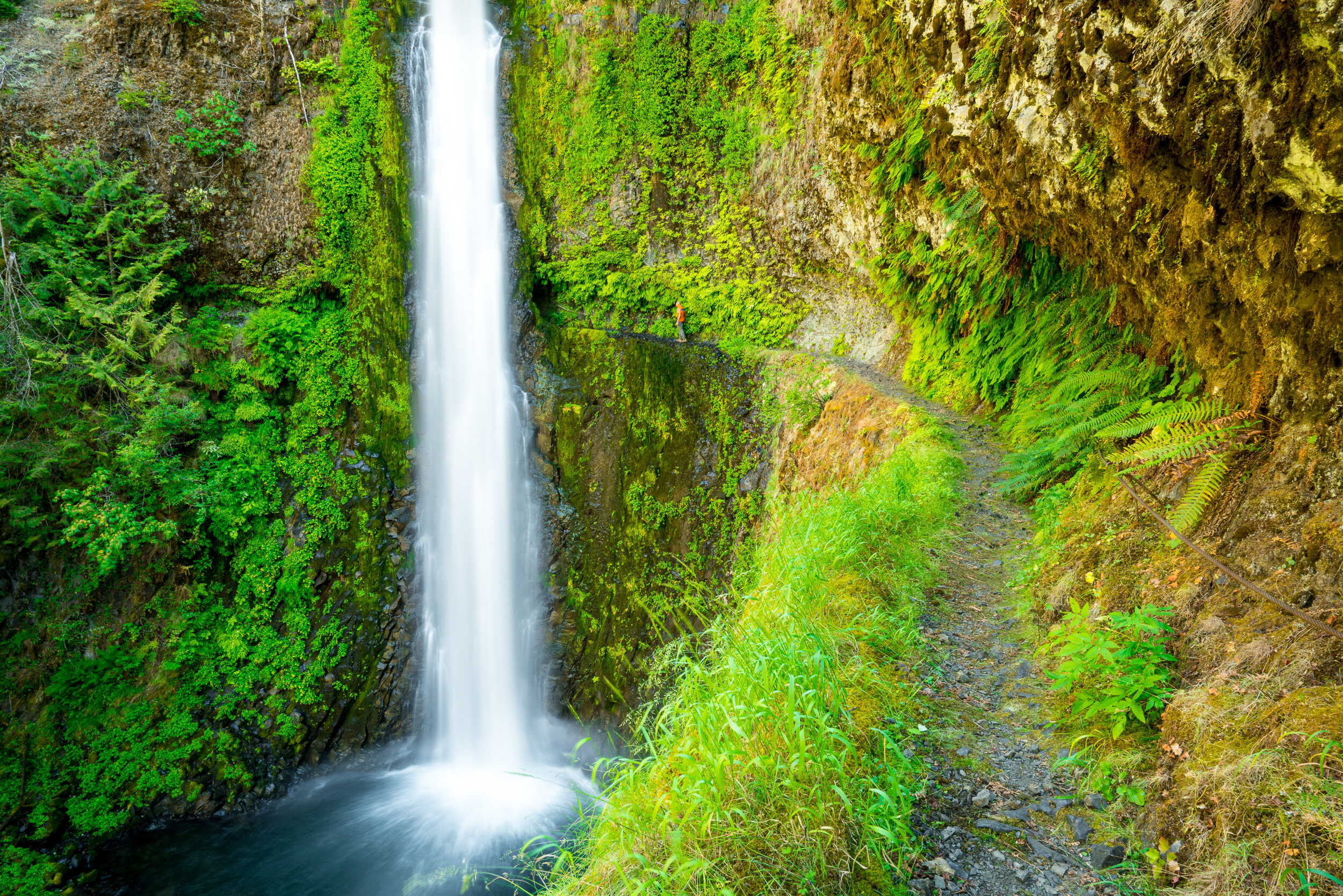 Tunnel Falls, Oregon