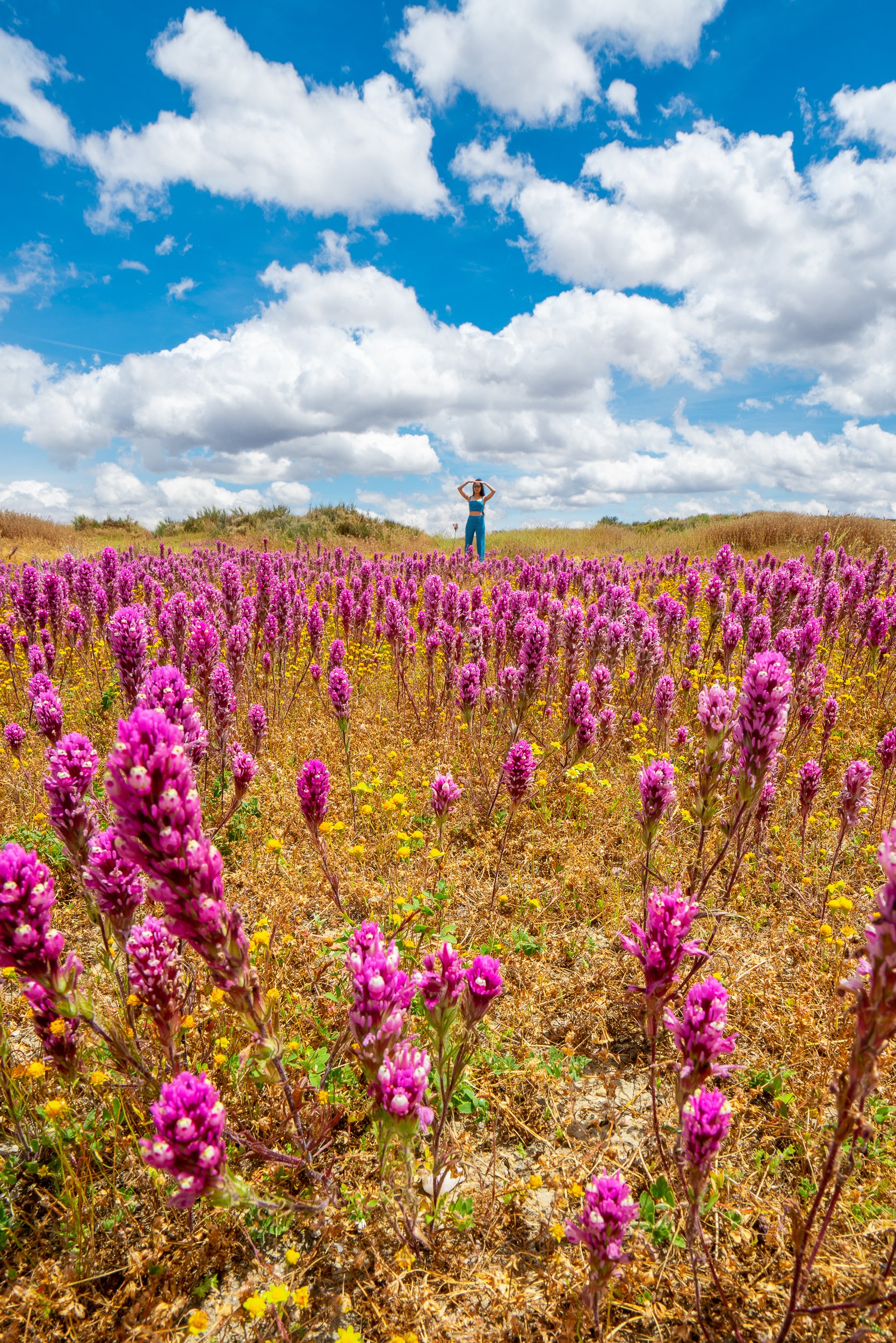 Carrizo Plain National Monument, California