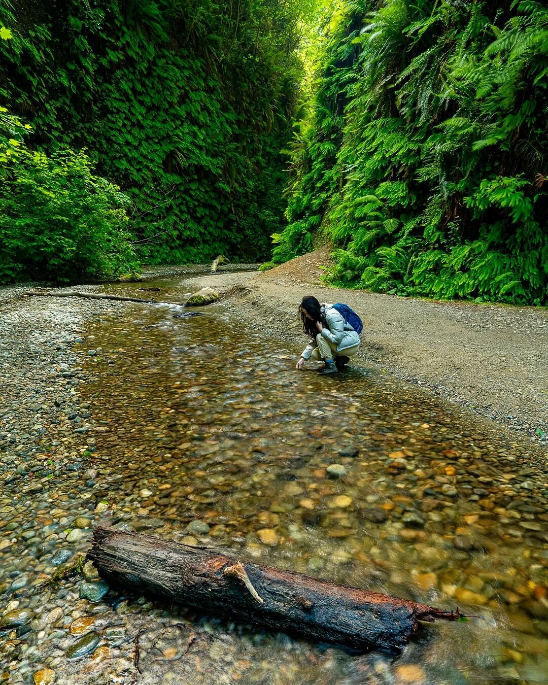 With tall canyon walls lined with lush ferns for as far as the eye can see, it's no wonder scenes from Jurassic Park were filmed here. For some of the best day hikes in Redwood National and State Parks: exploremorenature.com/redwoodnationalandstatepa