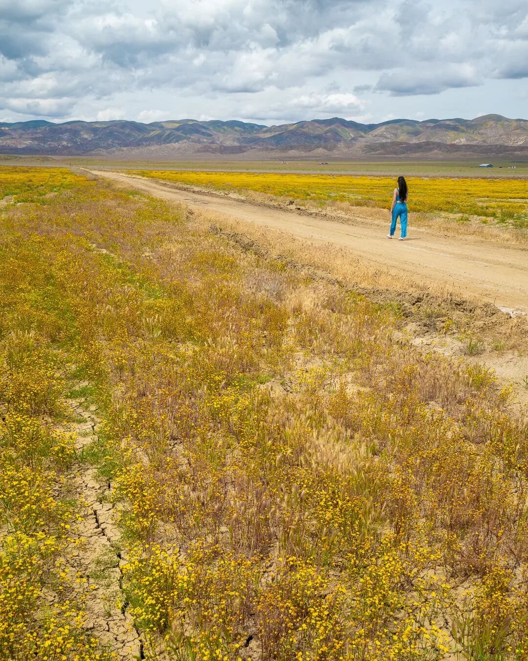 Strolling between the rolling hills.