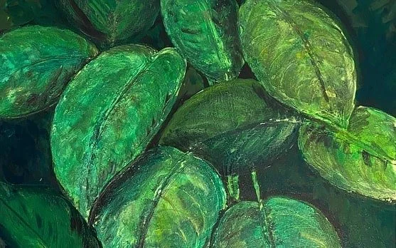 Nature Collection786FAA44-6969-4435-97EC-B96A7FDCC68E-min.jpg