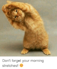 dont-forget-your-morning-stretches-😊-11376611.png