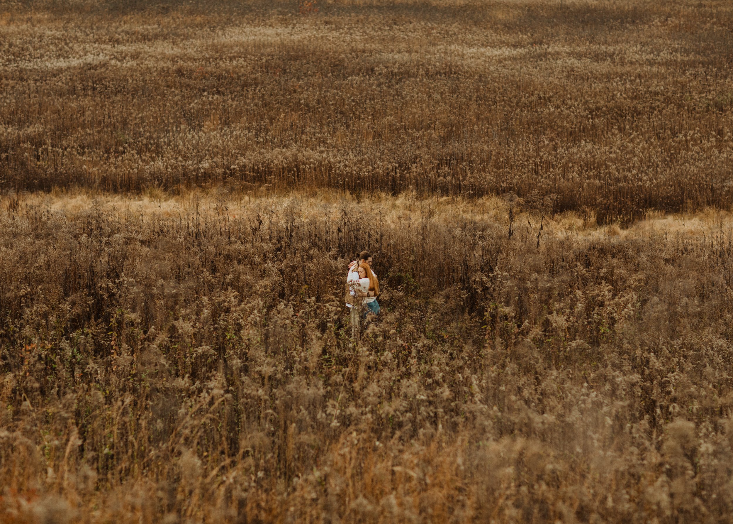 Creative wide angle couple embracing in a field of wheat at dusk.