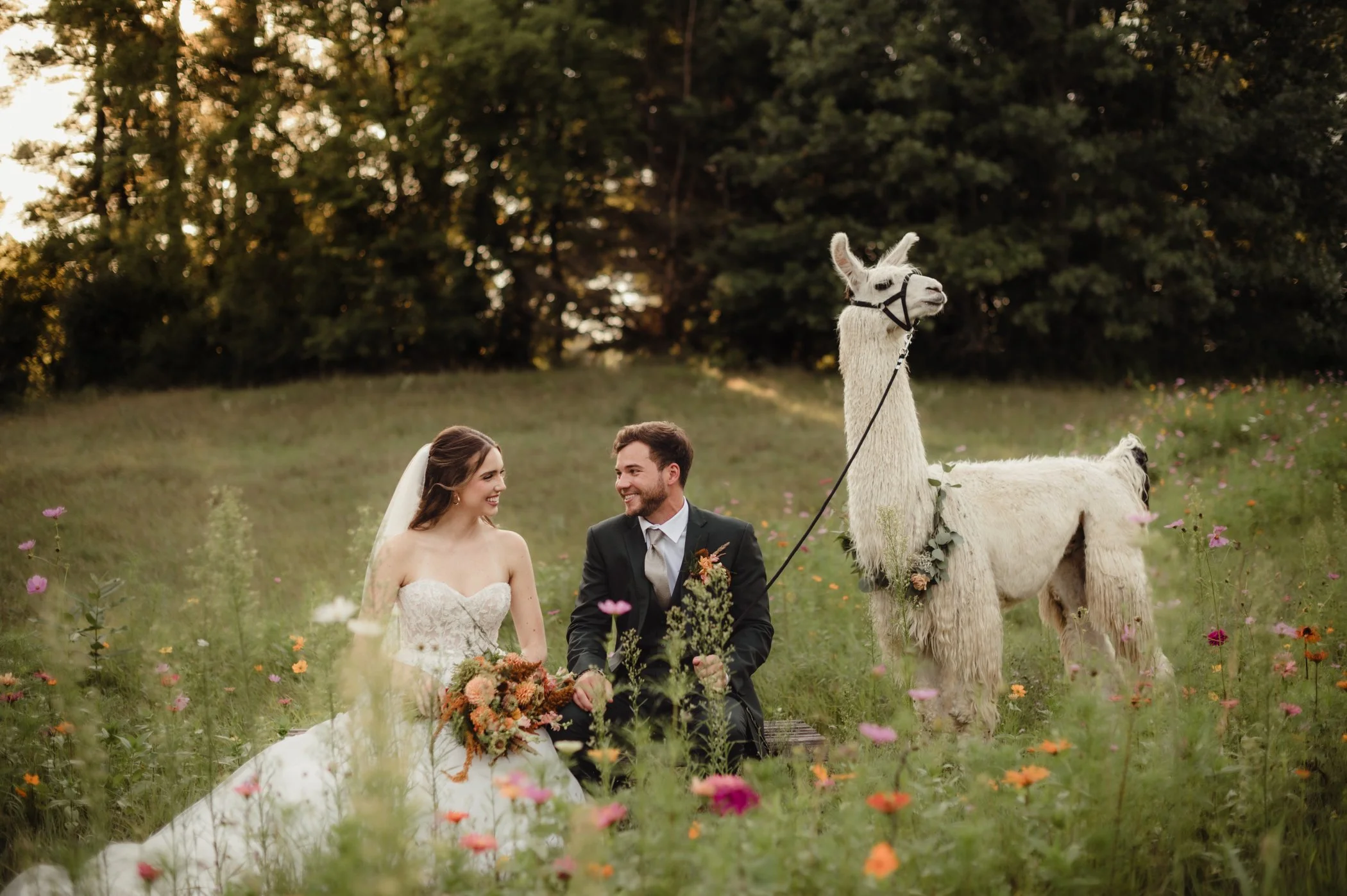 Dreamy Lovers Retreat: A Cozy Summer Editorial at Casacampo Alpaca Ranch By WedPlan Madison