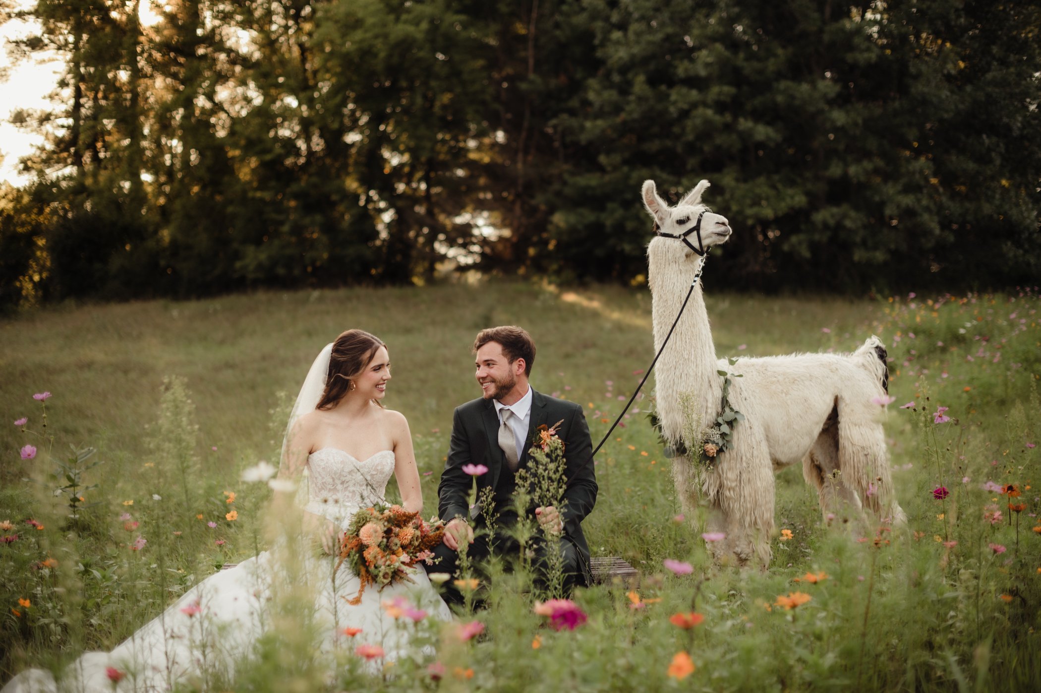 Dreamy Lovers Retreat: A Cozy Summer Editorial at Casacampo Alpaca Ranch By WedPlan Madison