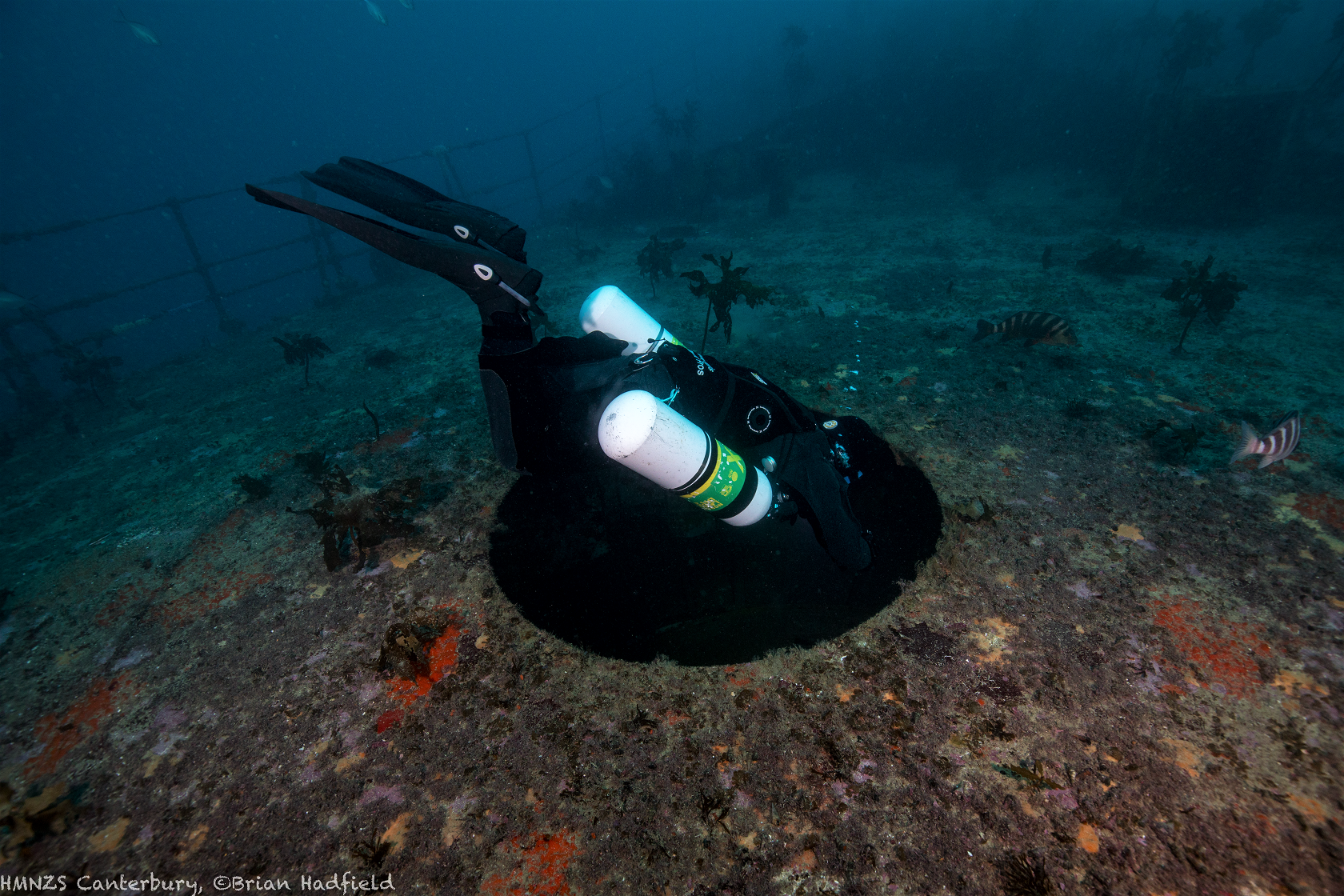 Sidemount Diving Canterbury Wreck Gun Bay