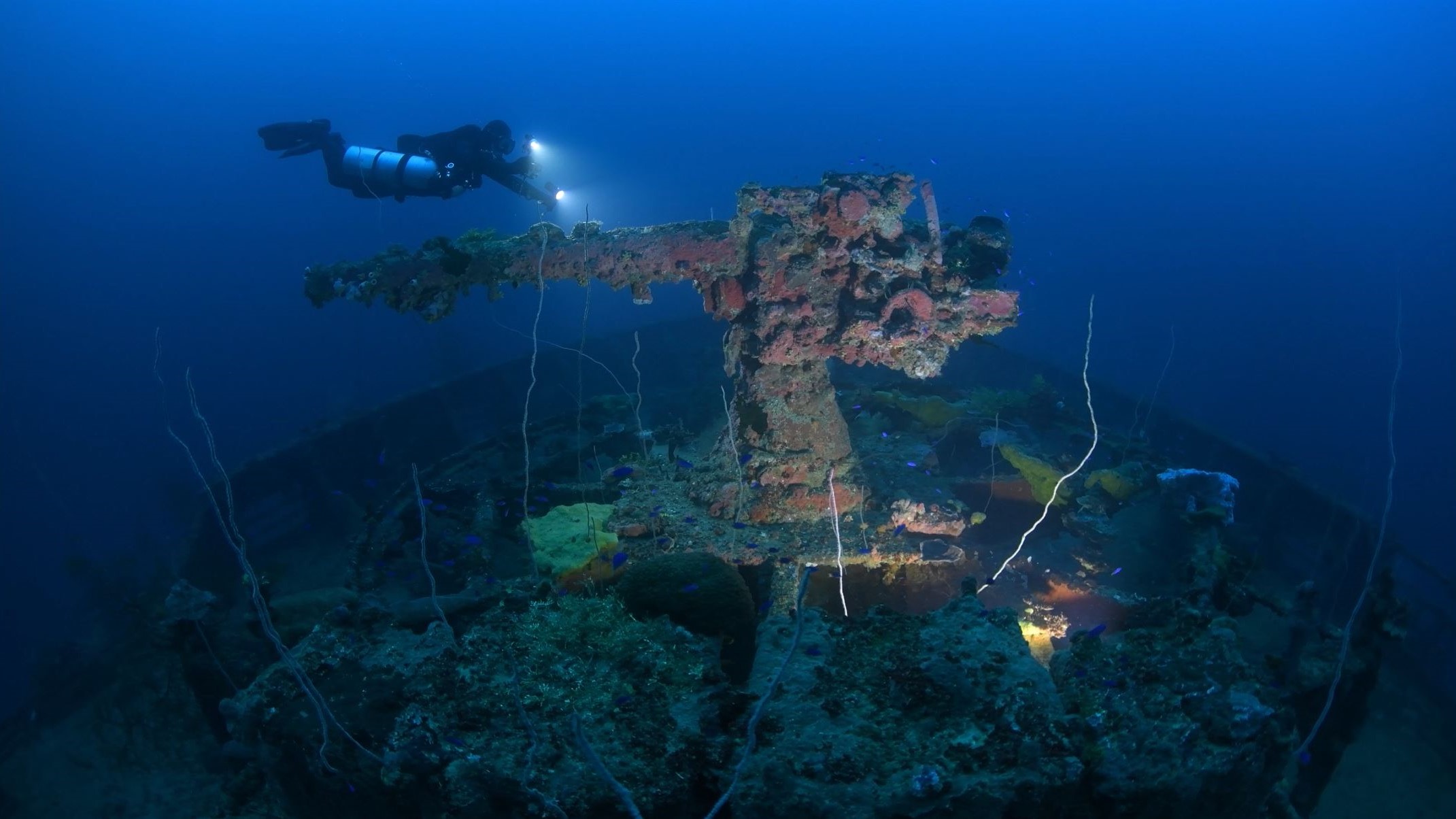 Bow Gun San Francisco Maru, Truk Lagoon