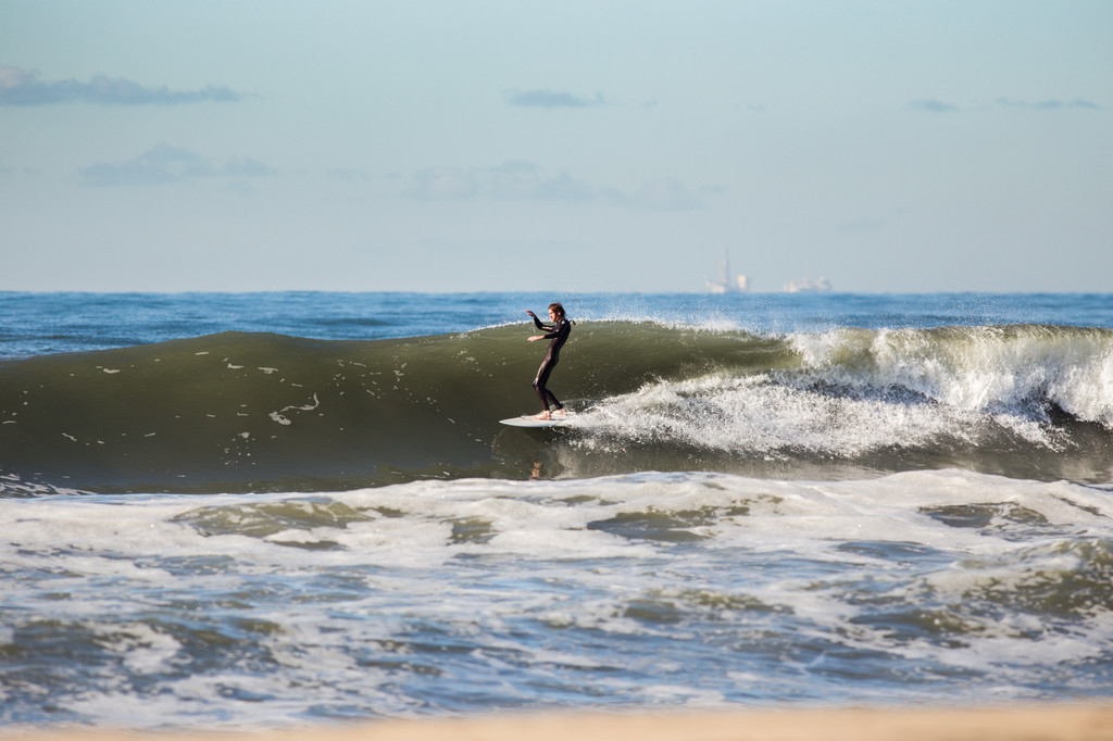 Photo by Thomas H. Green.