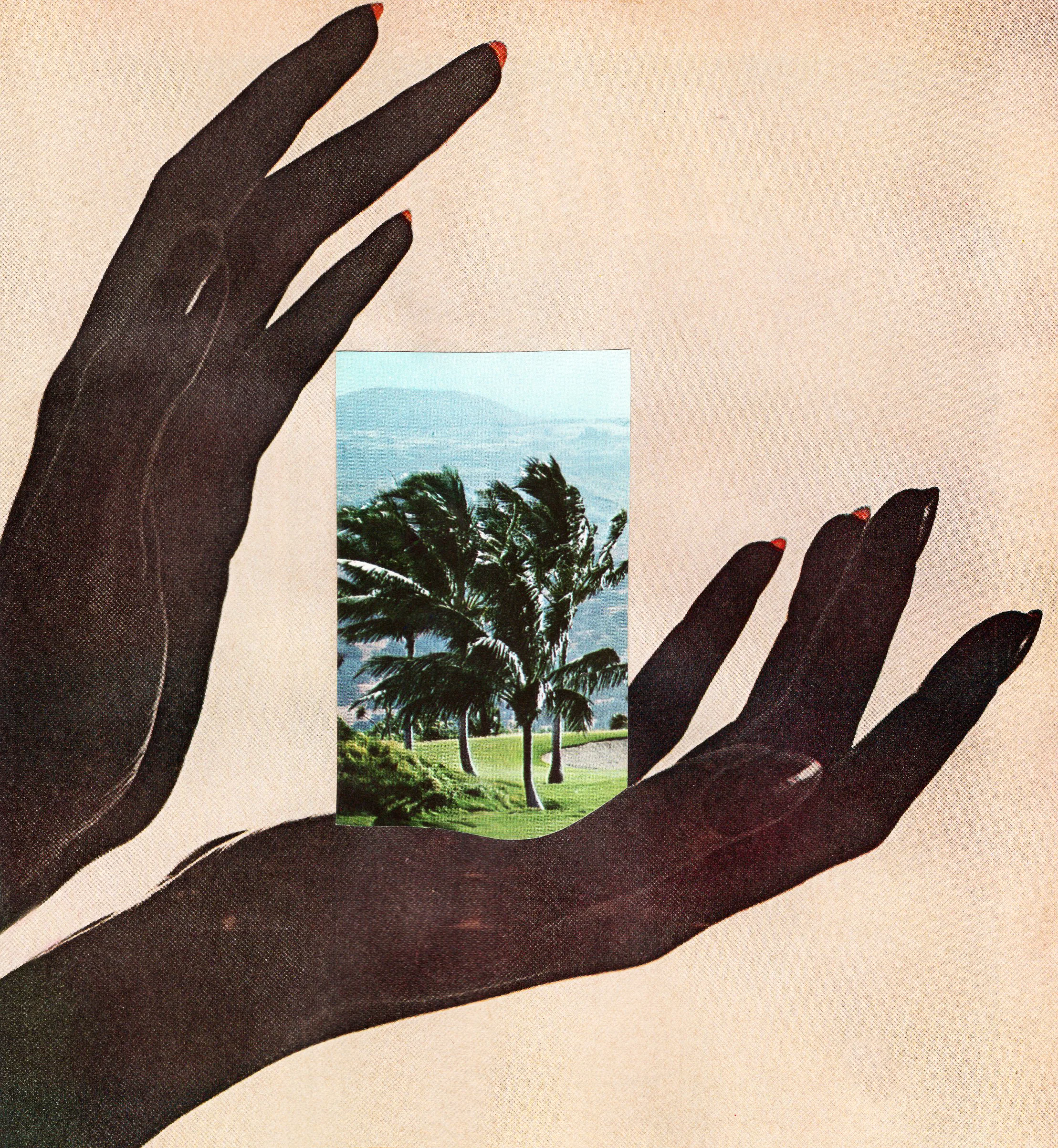 TROPICHANDS.jpg