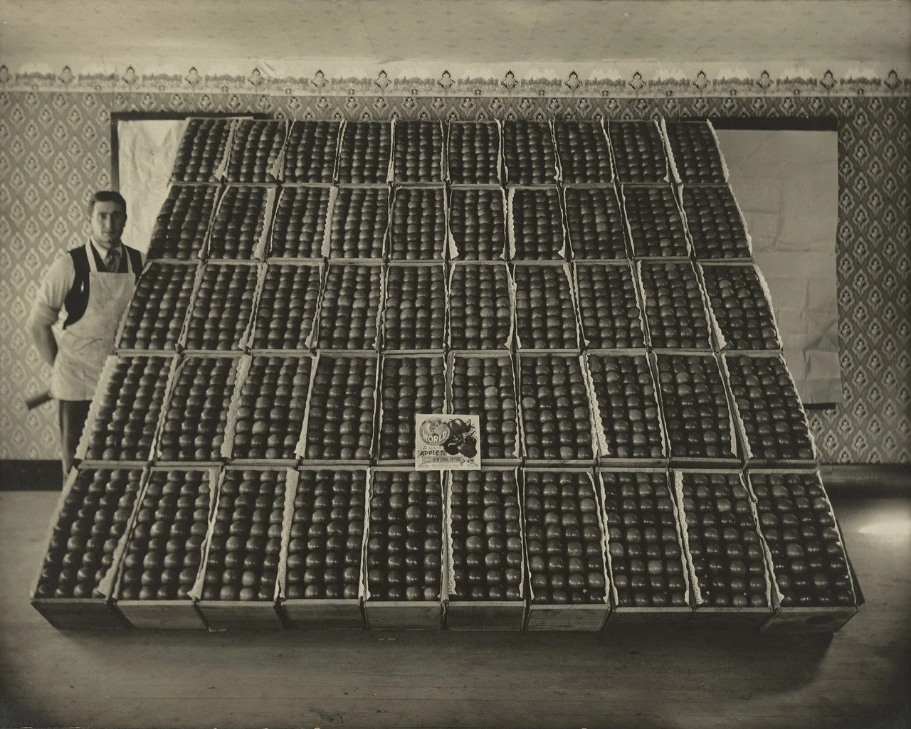 H.H. Blakesly. Newton Pippin Apples . 1925. Gelatin silver print, 7 3/4 x 9 3/4" (19.7 x 24.8 cm). The Museum of Modern Art, New York. Gift of Jeffrey Fraenkel in memory of John Szarkowski