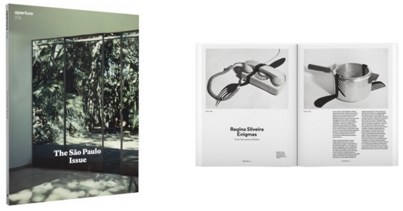 Regina Silveira: Enigmas. Aperture #215 (Summer 2014). pp. 106-109