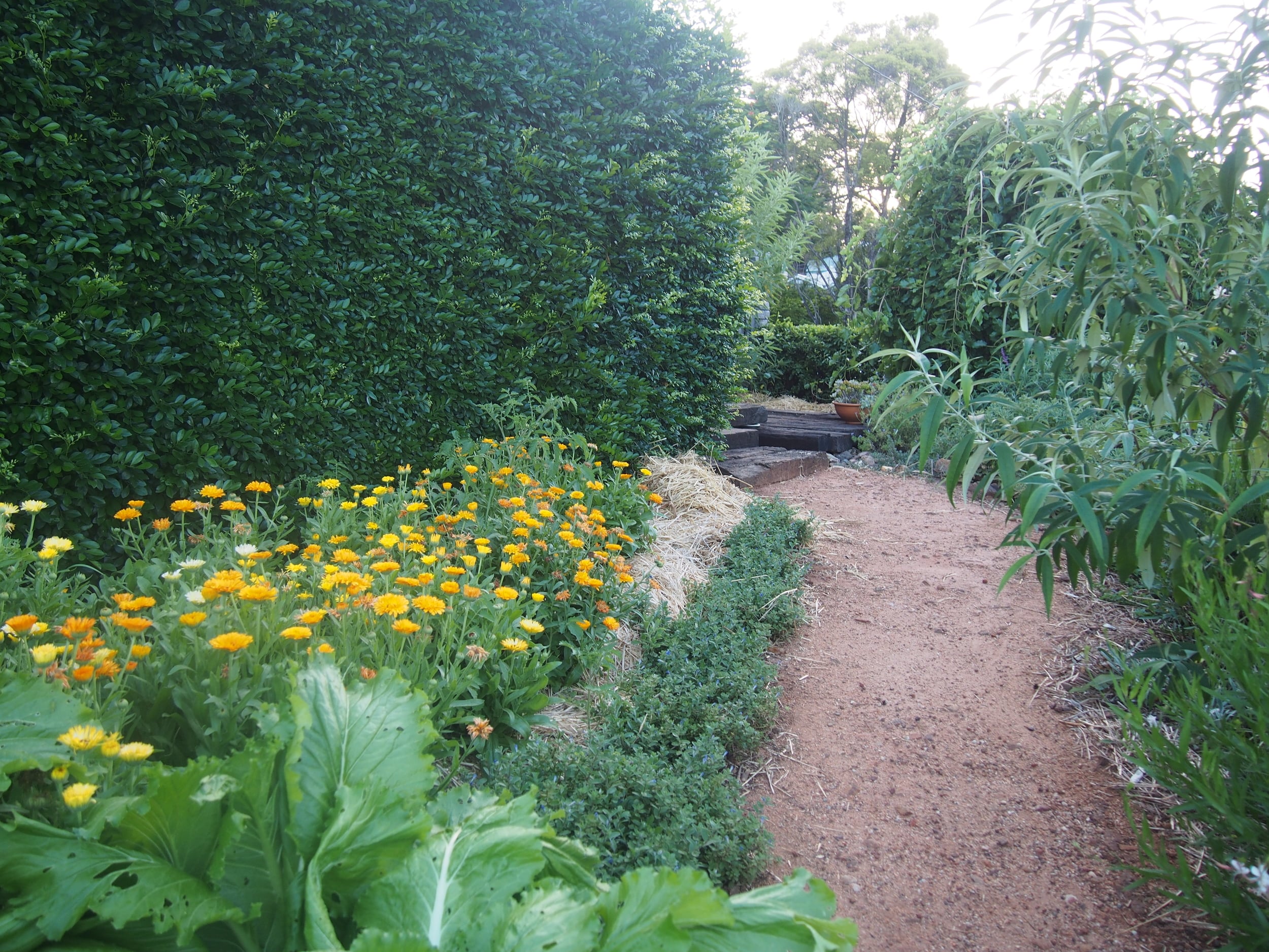 P1010017.JPG