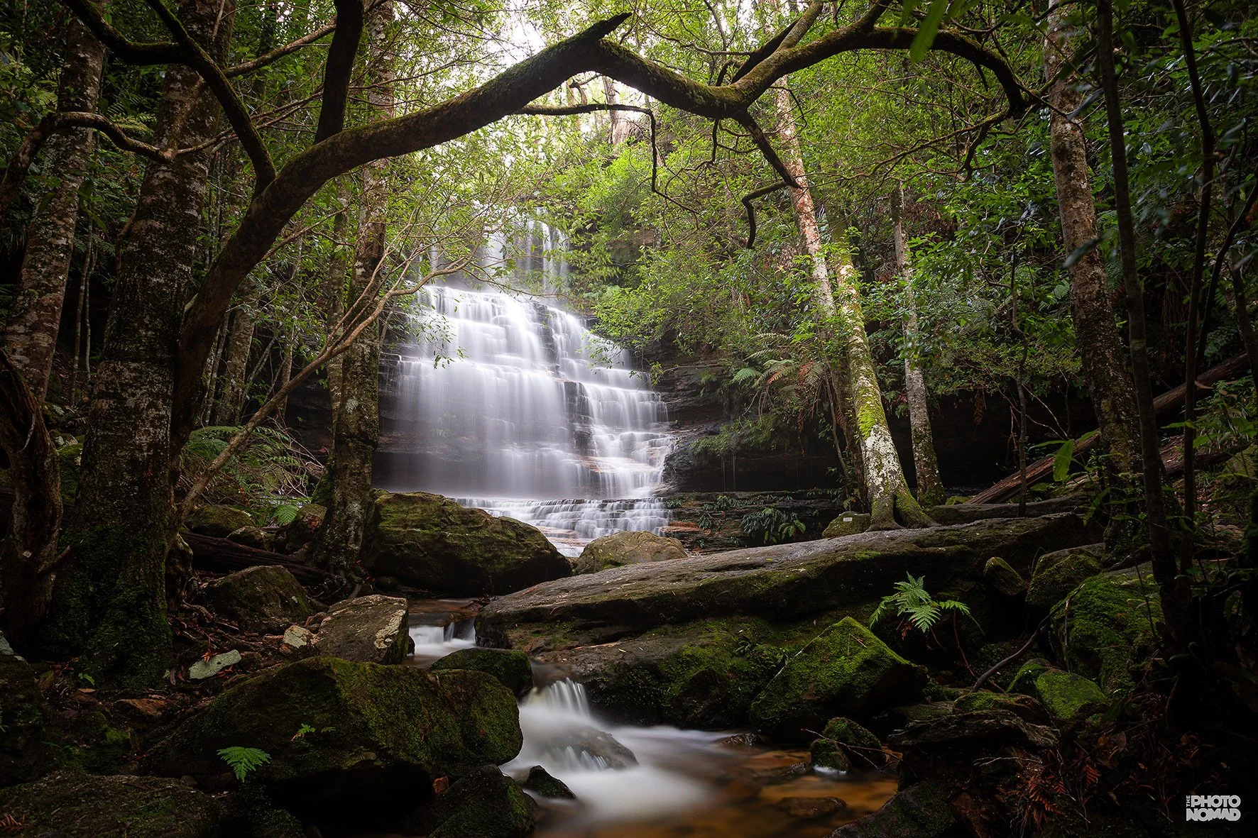 South Lawson Waterfall Track, South Lawson NSW