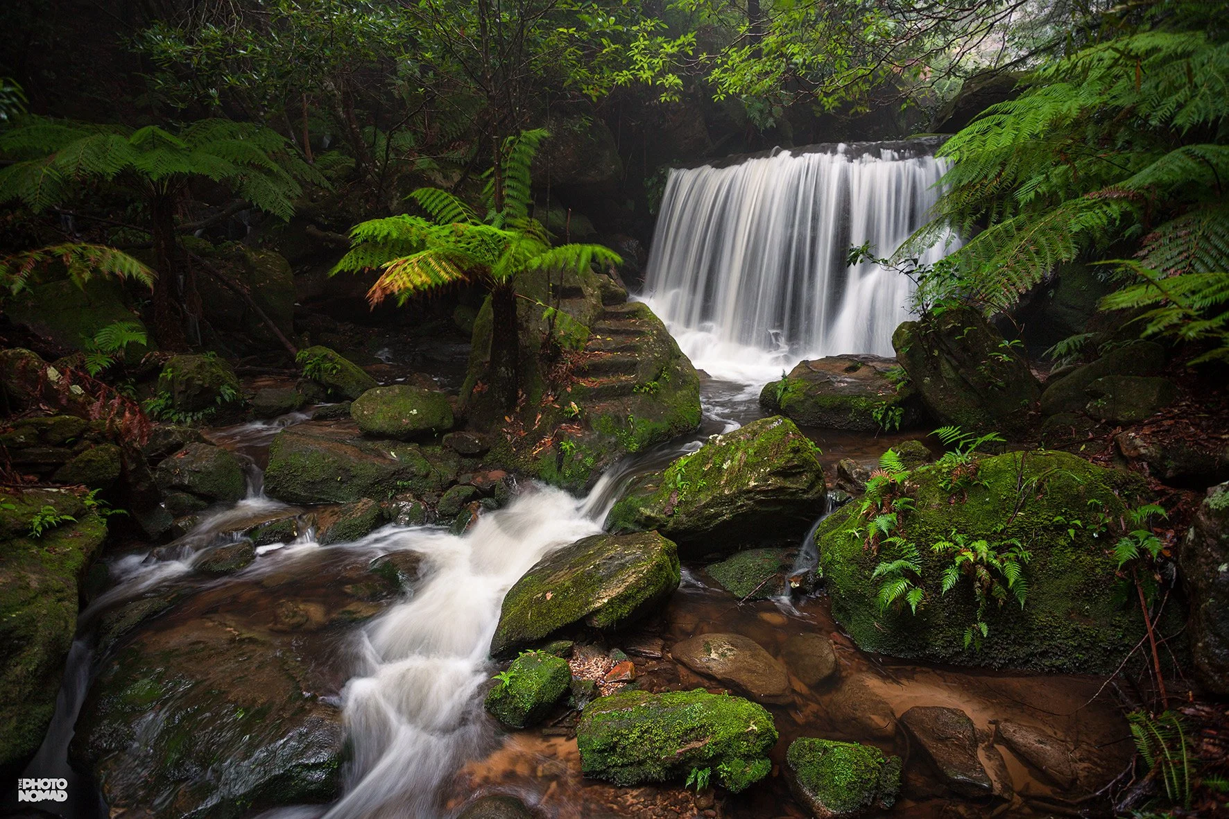 Leura Cascades, NSW
