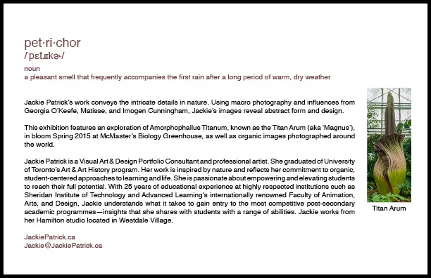 Artist's Statement