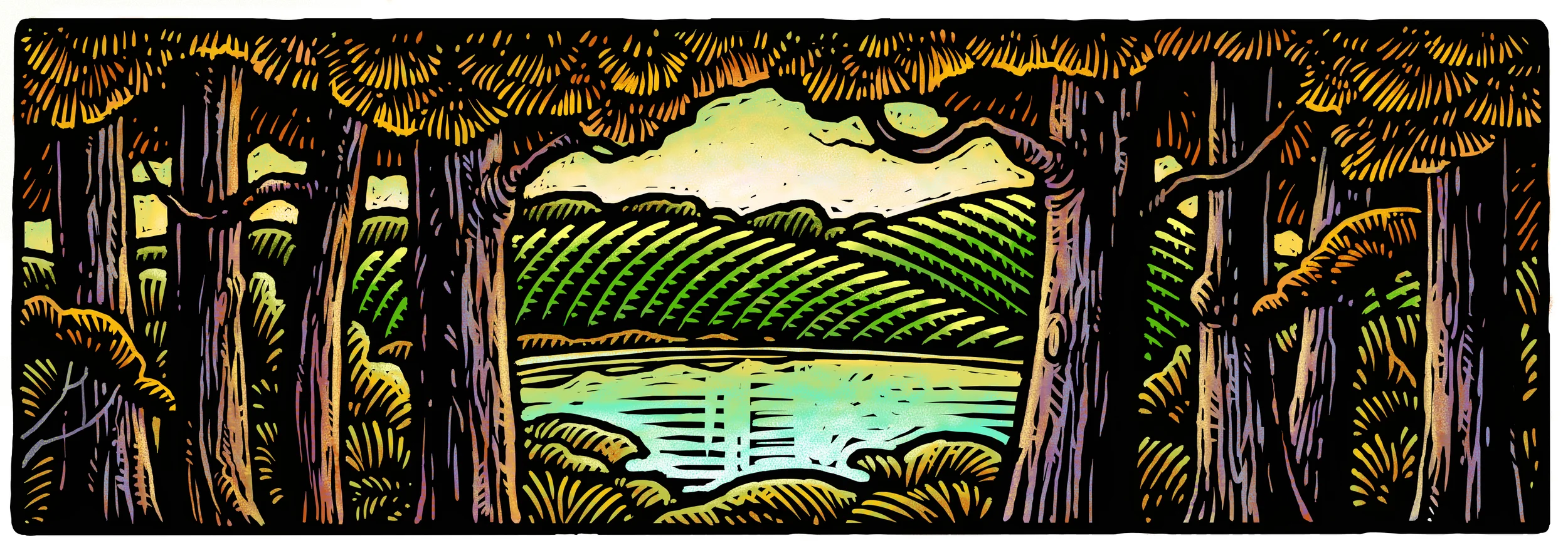   DEEP WOODS ESTATE WINERY  