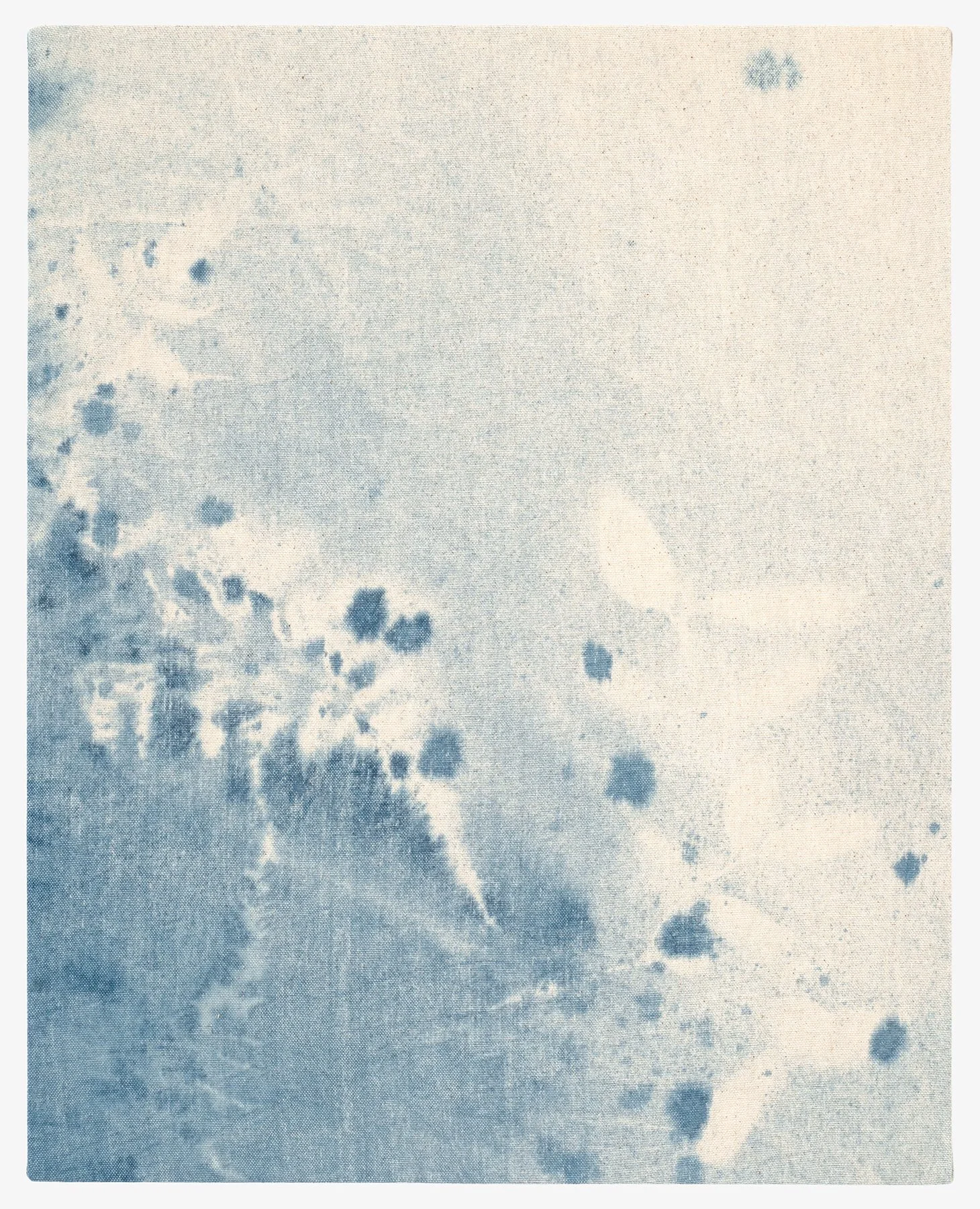 Here With You, 2025 indigo dye on canvas 20 × 16 inches