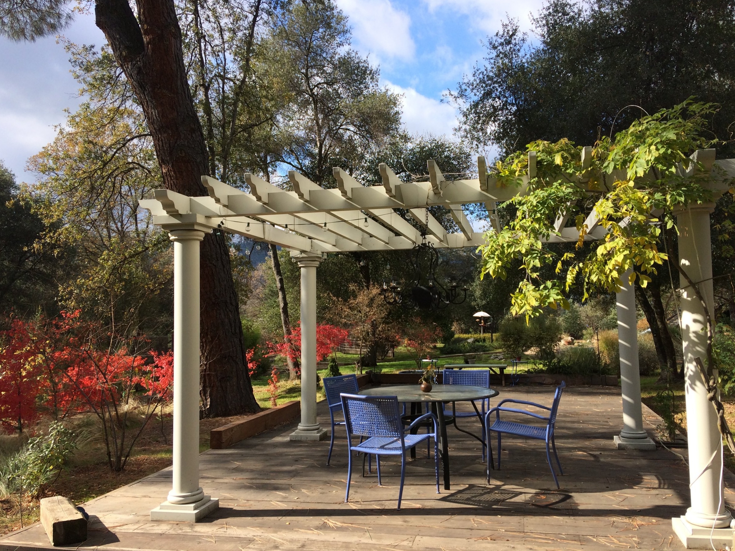 gazebo.jpeg