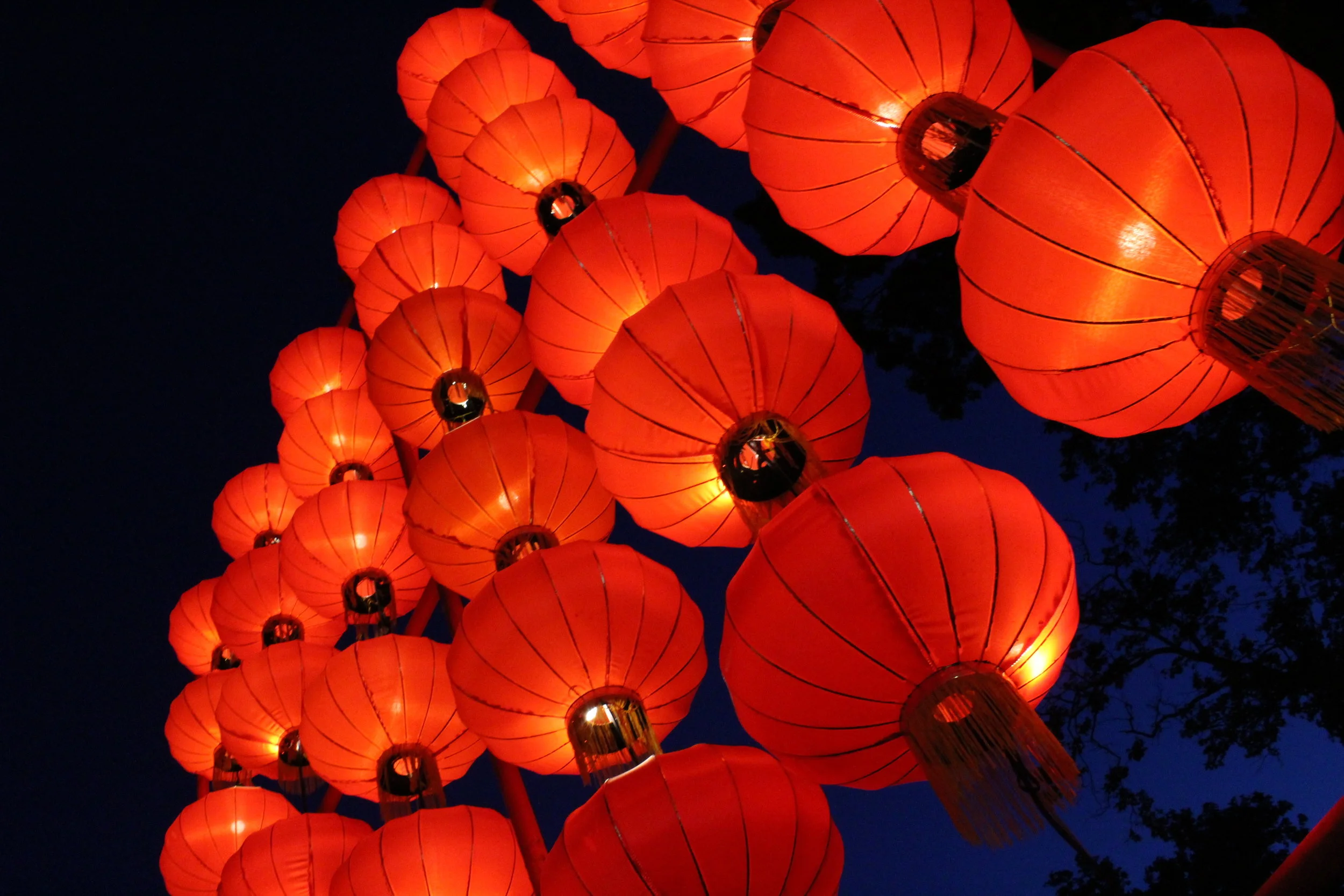 Chinese Lanterns