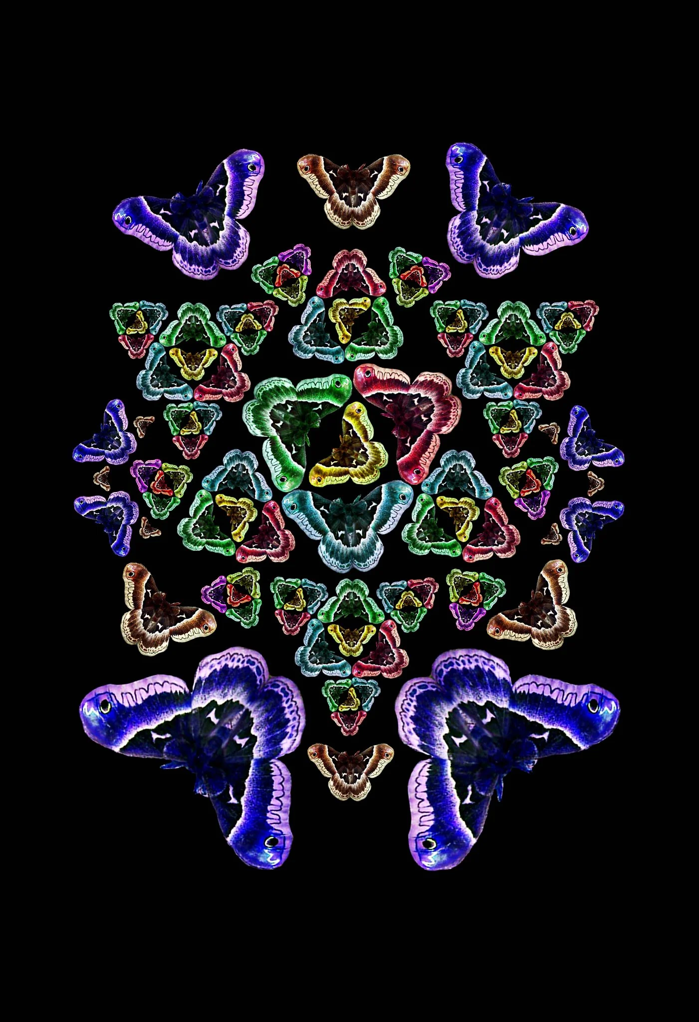 793777_10151388476030939_1497881412_o.jpg
