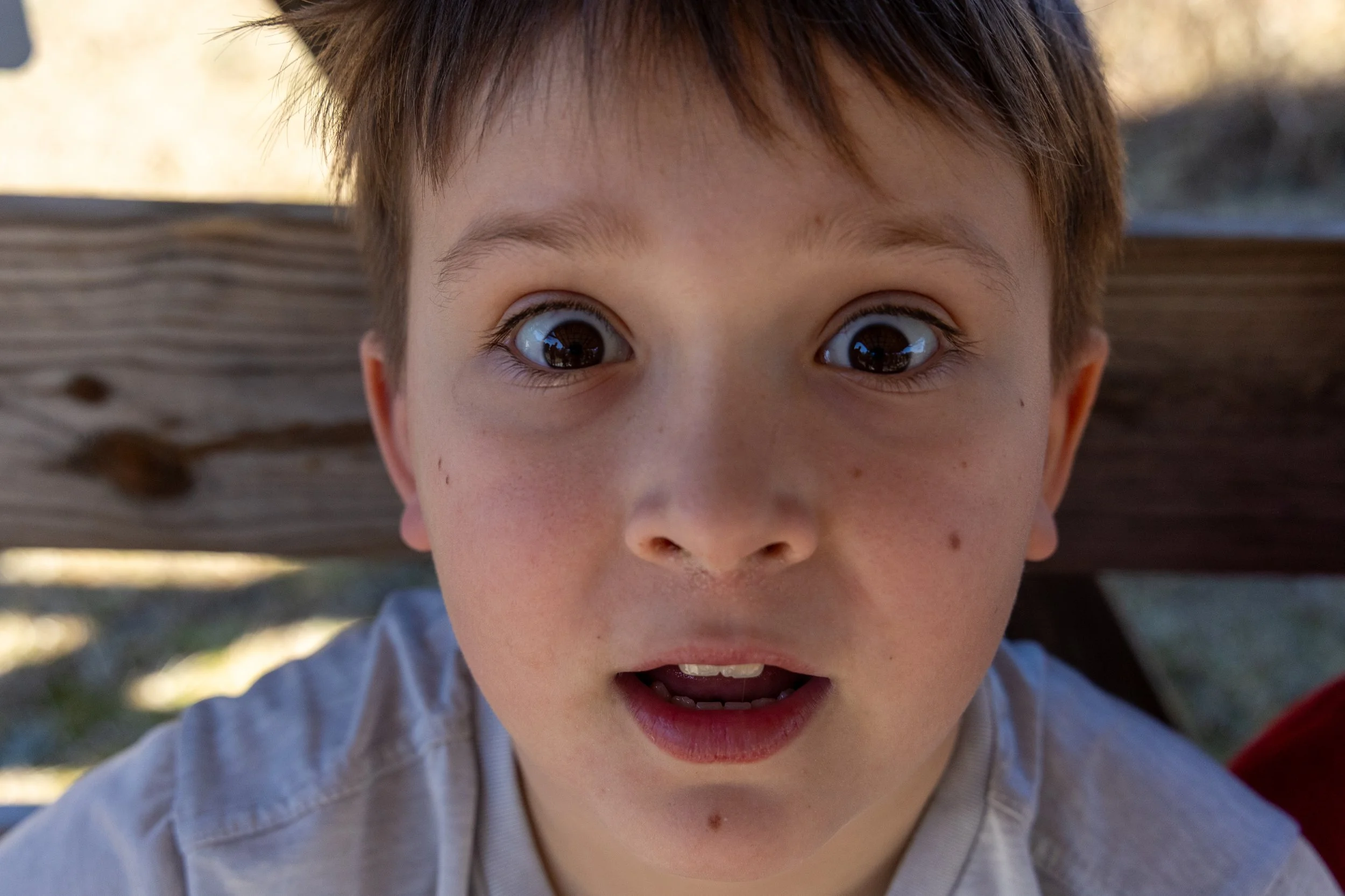 Junior Rev 2026-27.jpg