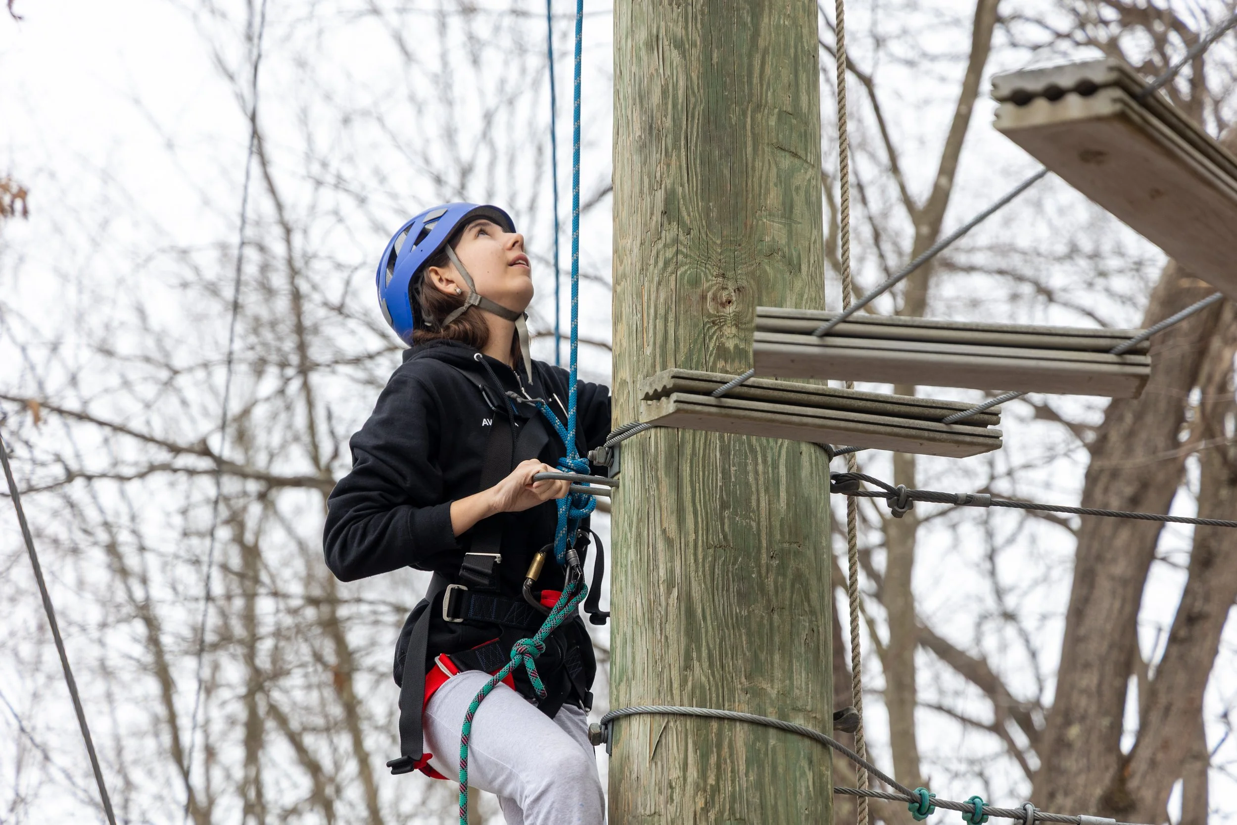 Winter rev 2026 1-28.jpg