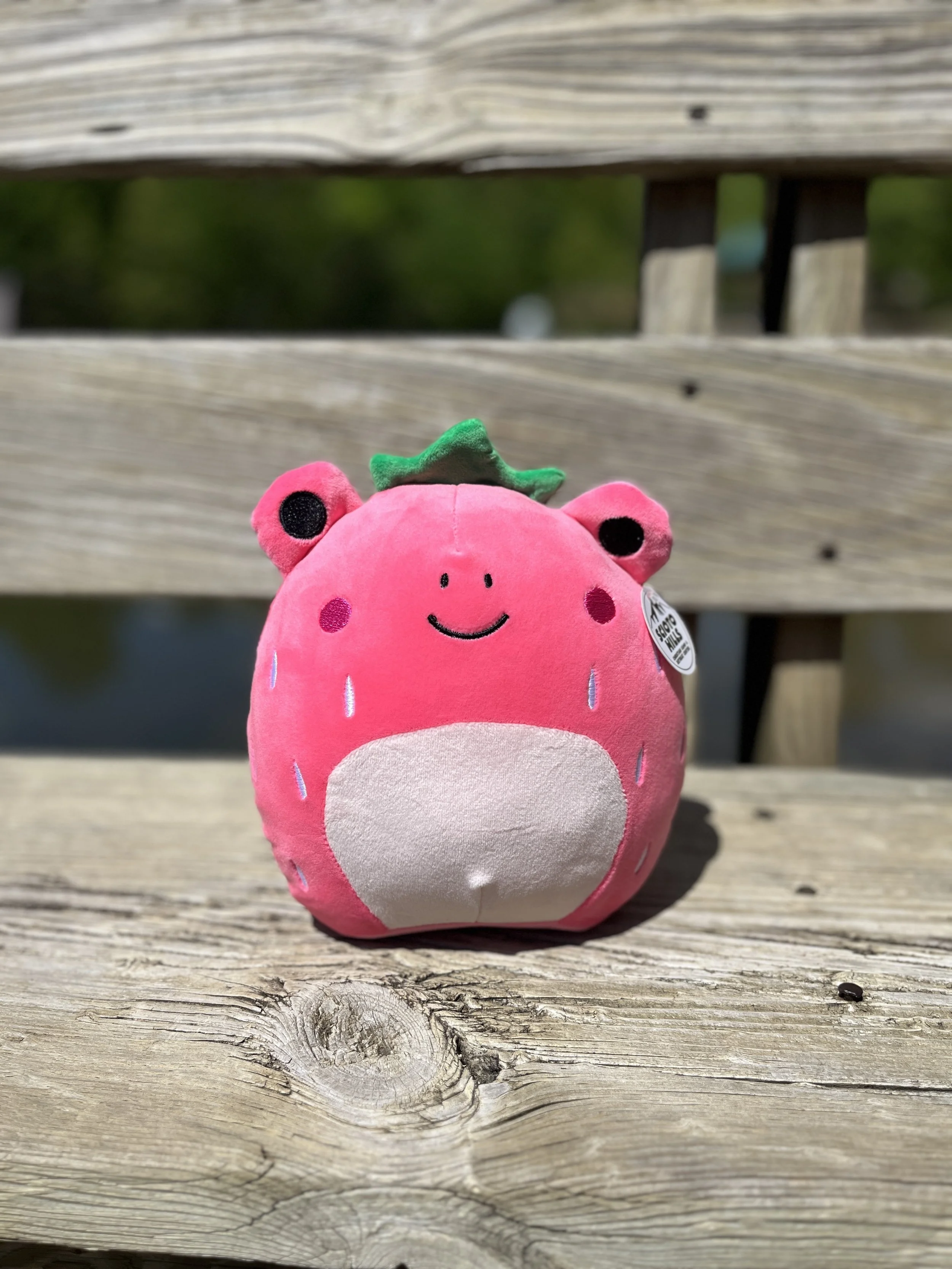 IMG_7200.jpg