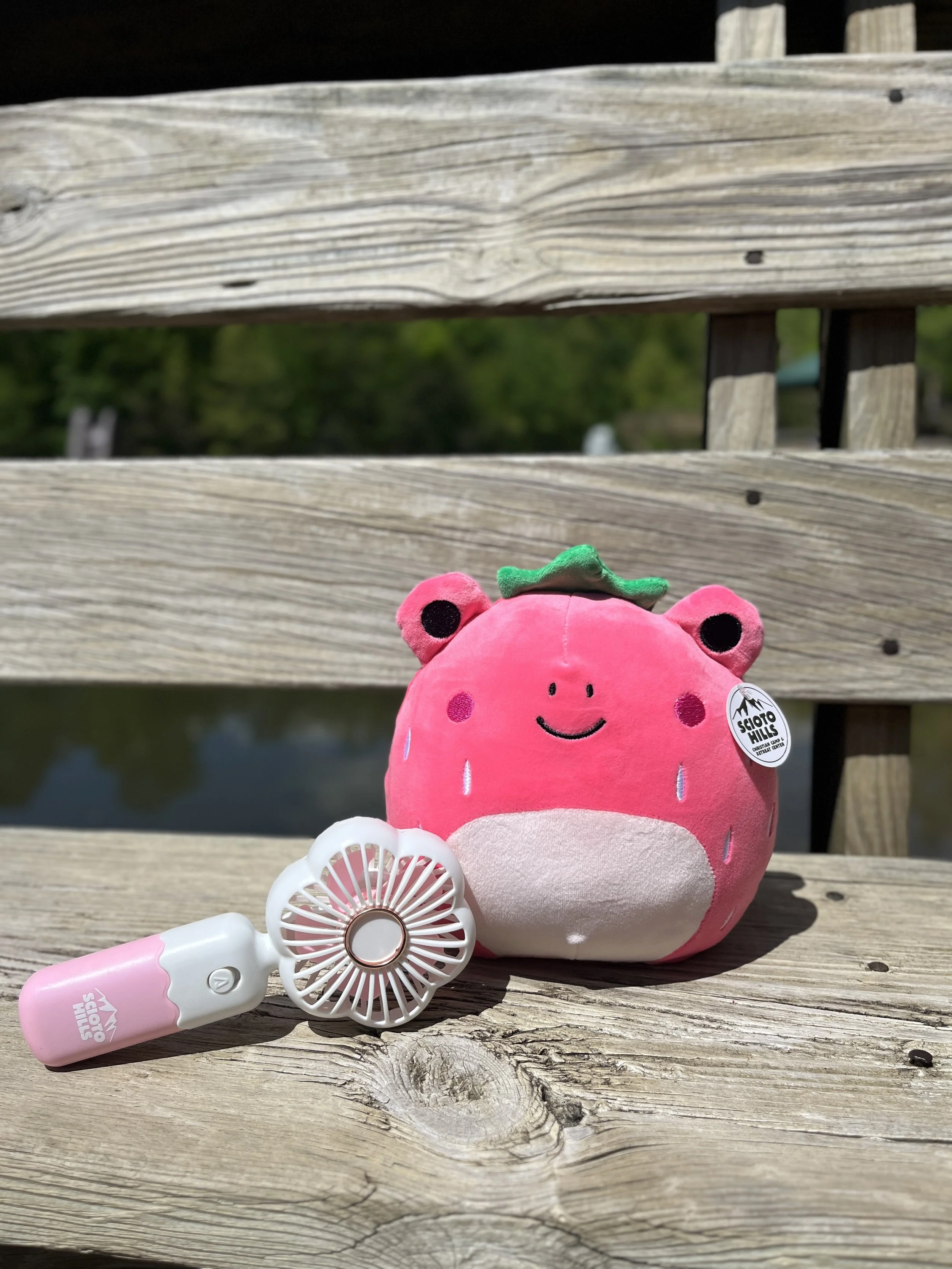 Camper Package 8 - Fan and Squishmallow