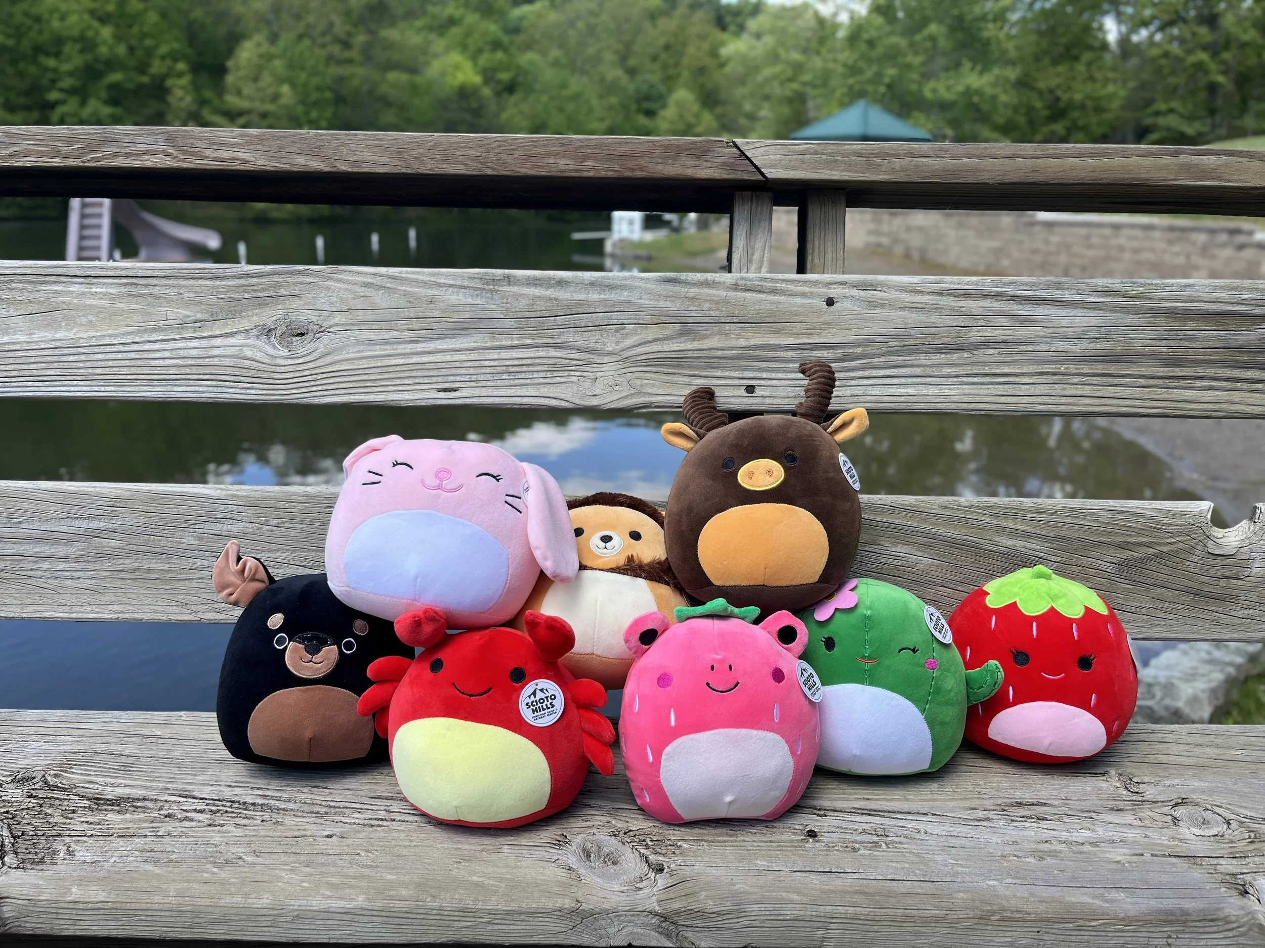 Camper Package 1 - Scioto Hills Squishmallow