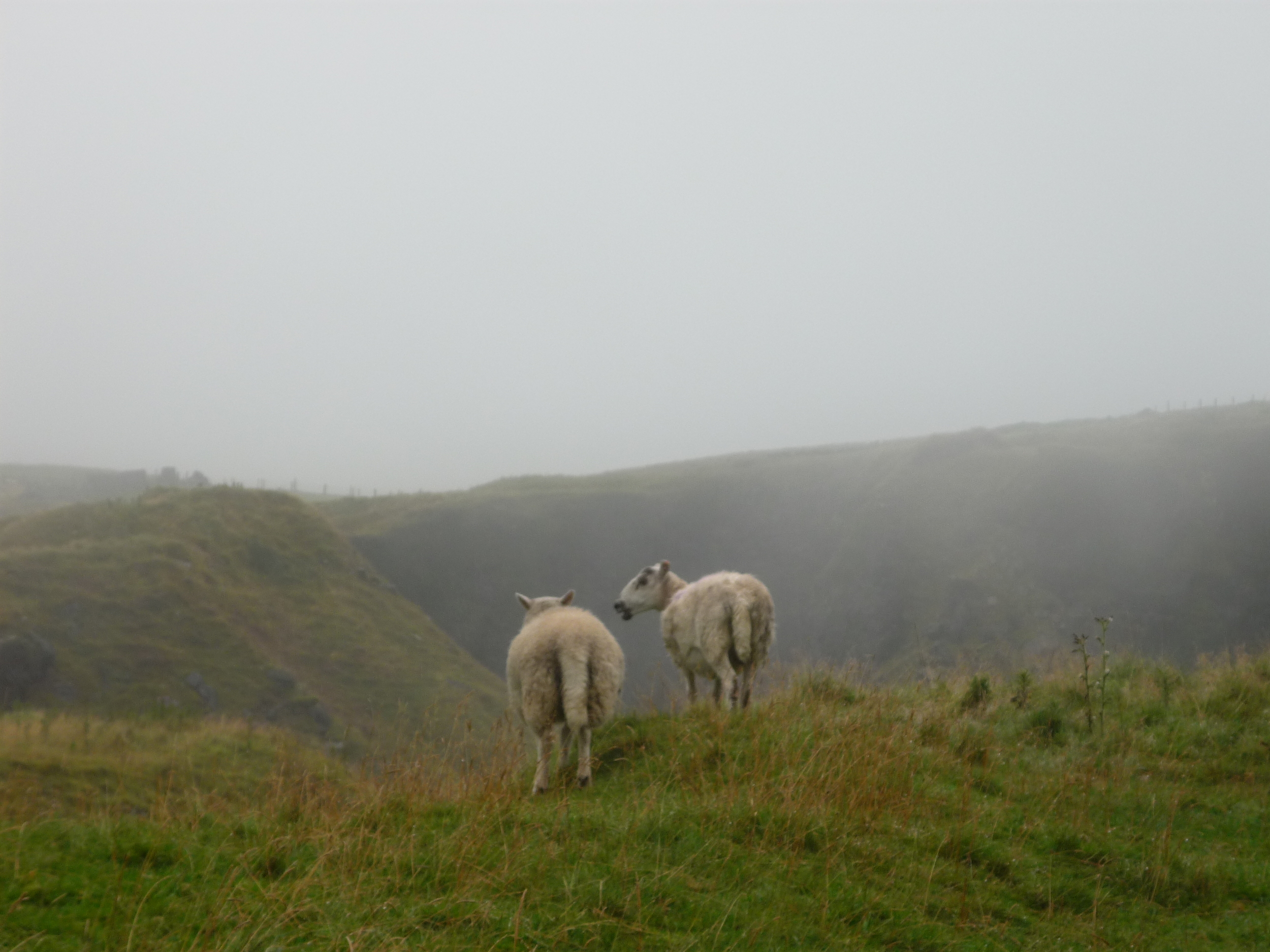 A couple of locals having a yarn