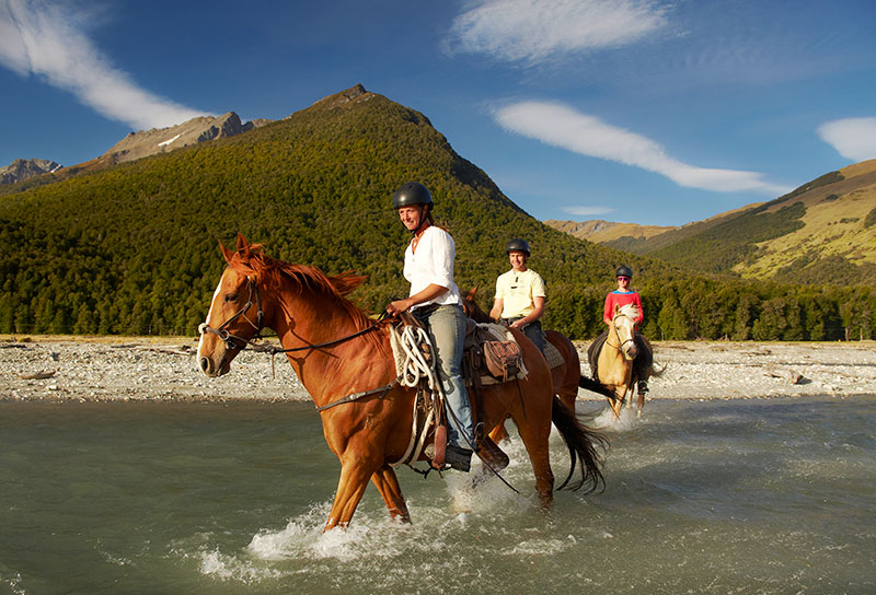 Mike Langford Tourism