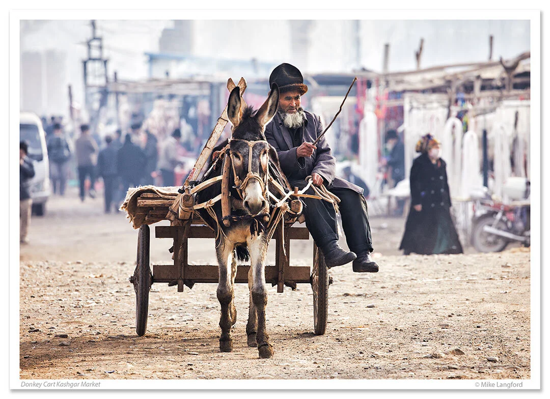 Donkey-Cart-5.jpg