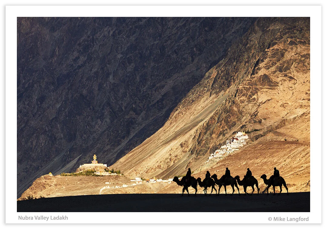 Nubra-Valley-Camels.jpg