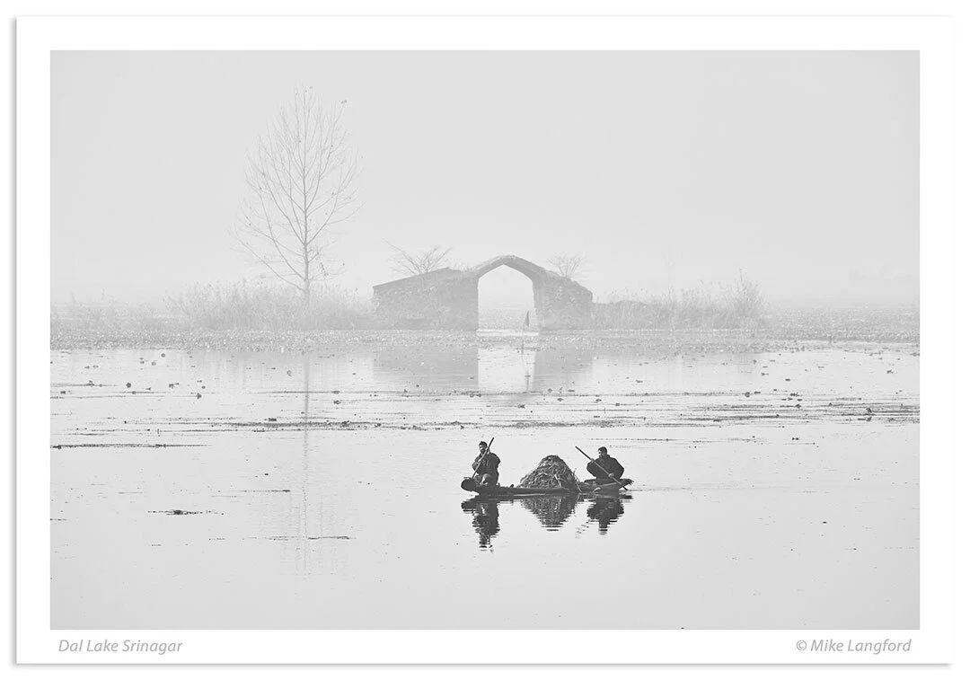 Dal-Lake-1.jpg