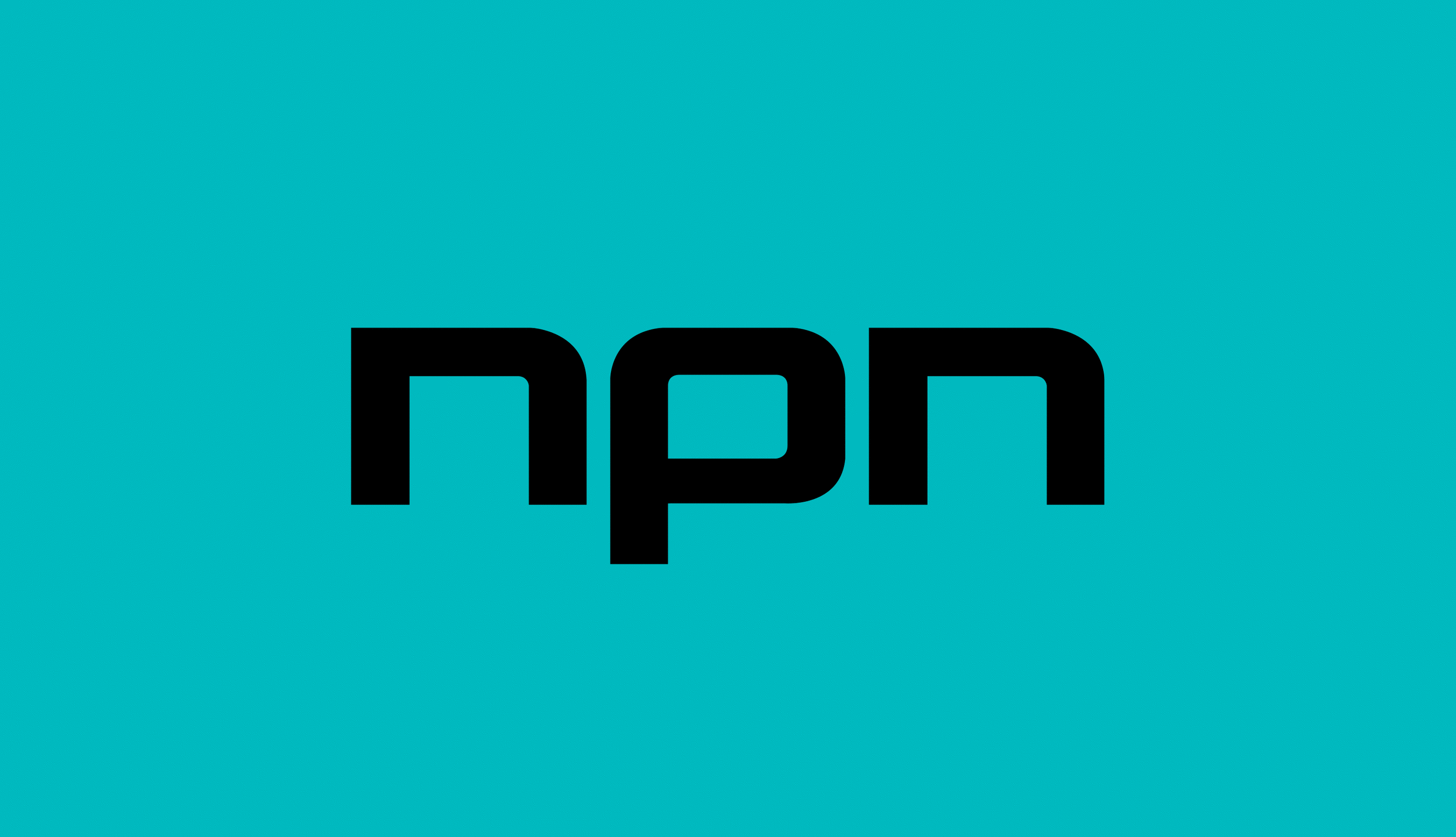 NPN_LOGO_NewSize_smaller2.gif