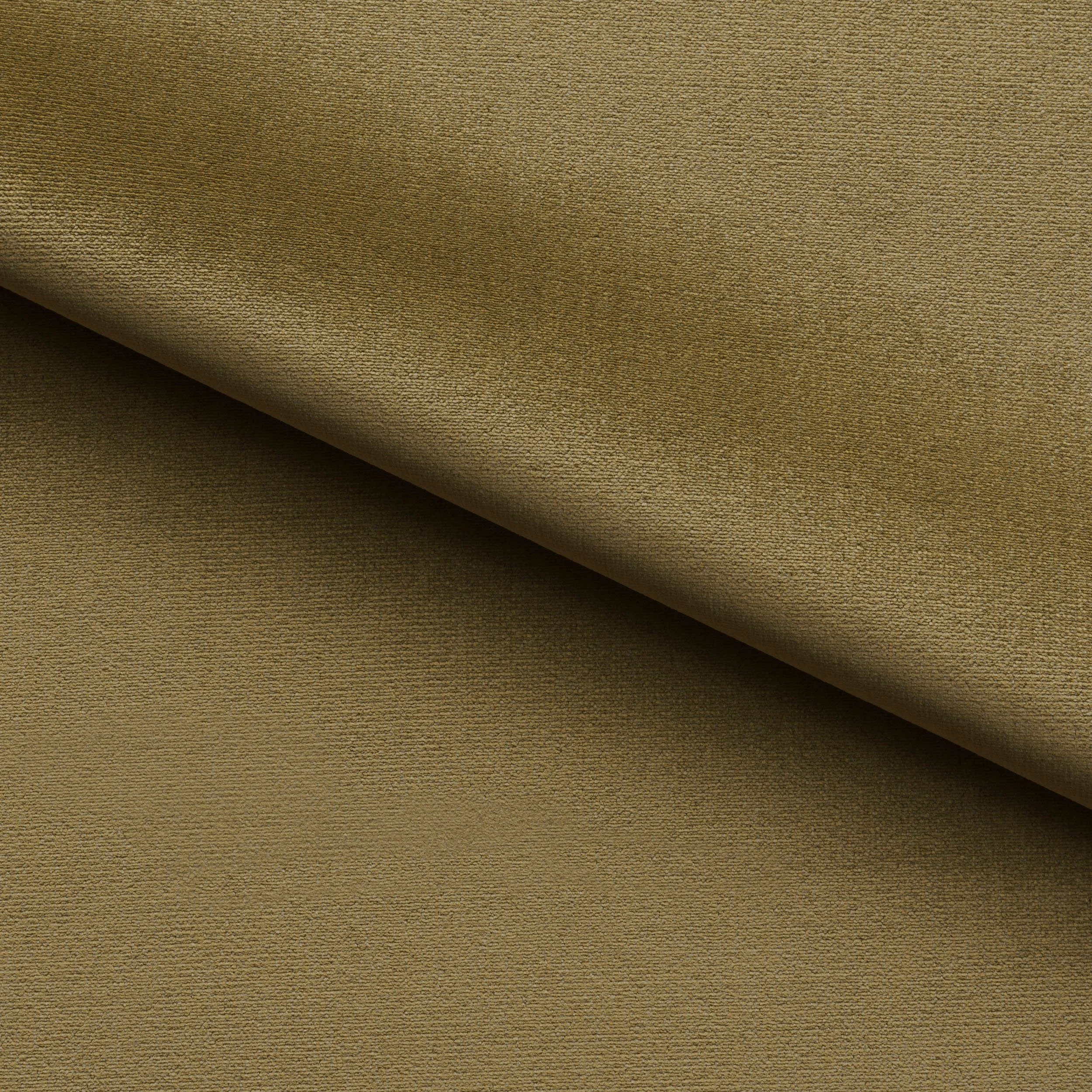 Sequoia Dune (1).jpg