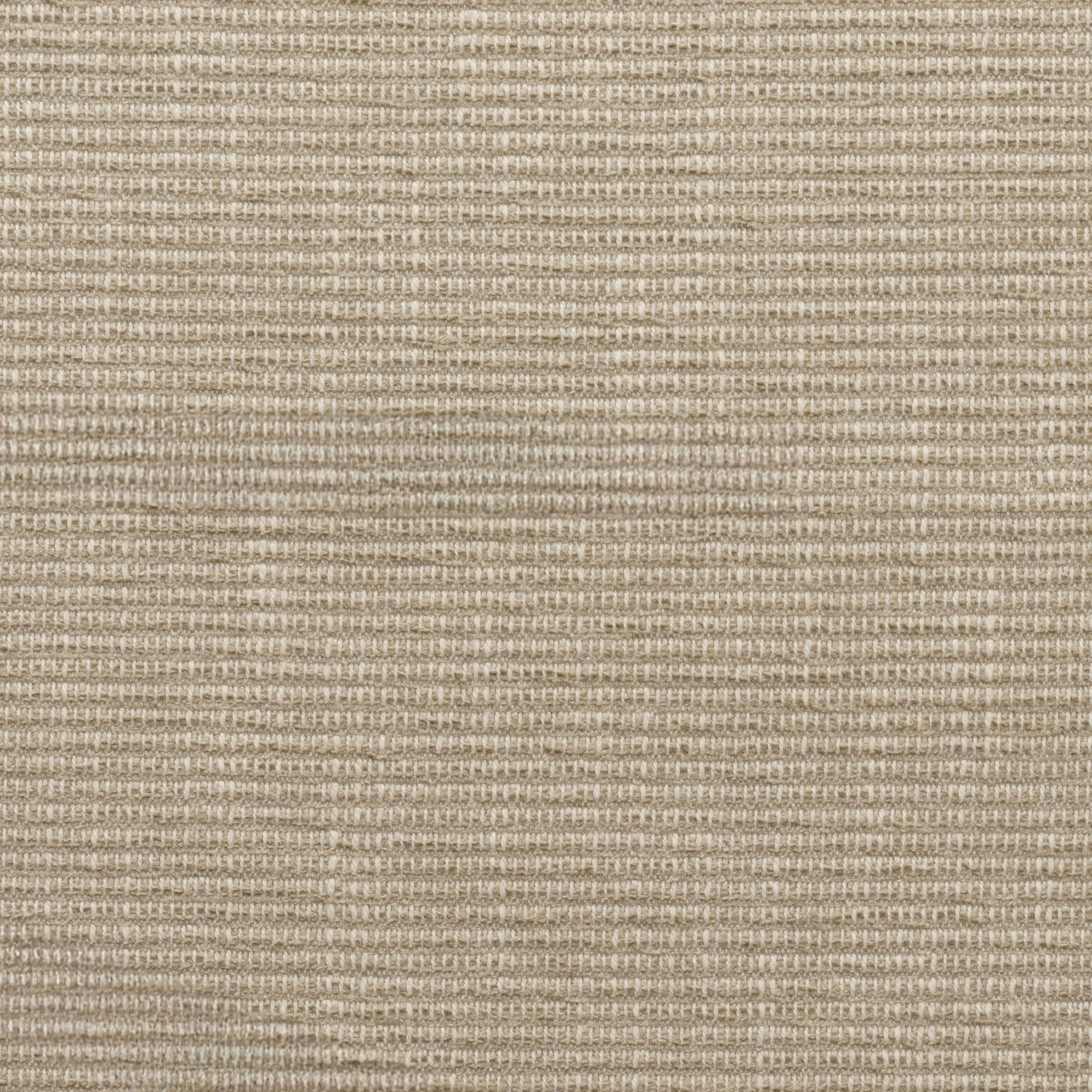 Coronado Flax (2).jpg