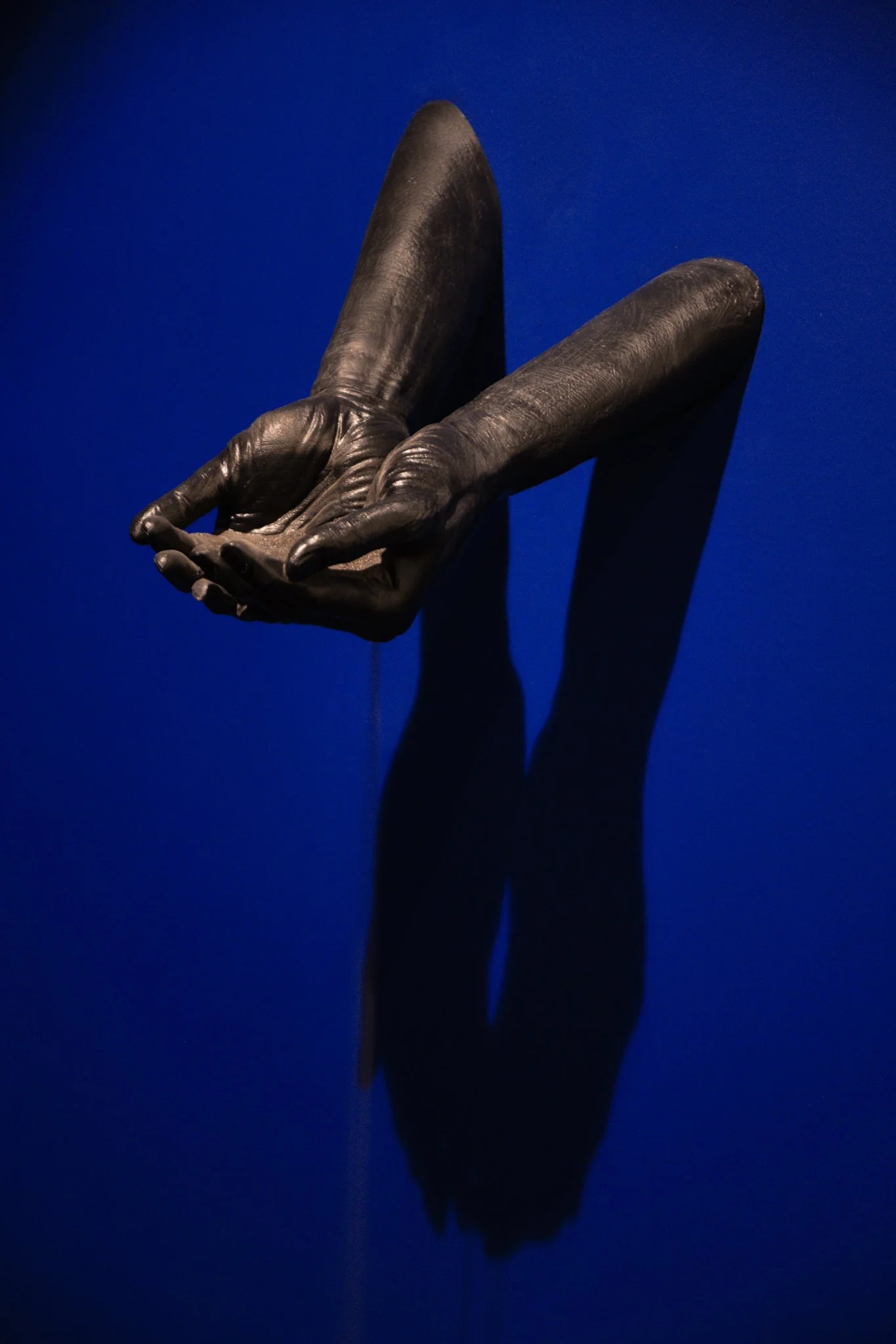 _DSC8900.jpg