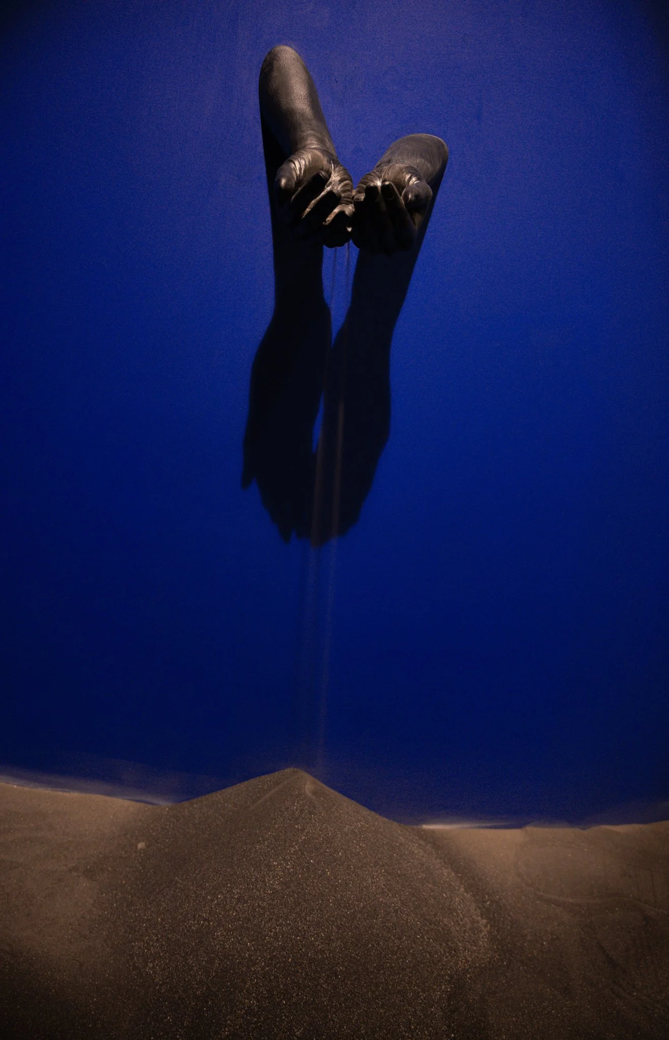 _DSC8904.jpg