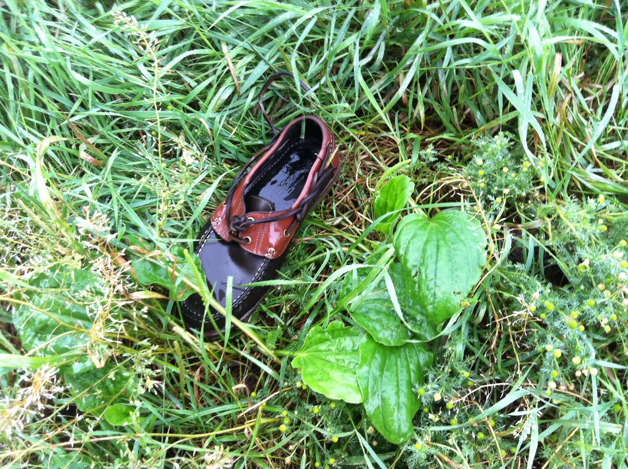 July 7/13, 7:53 PM