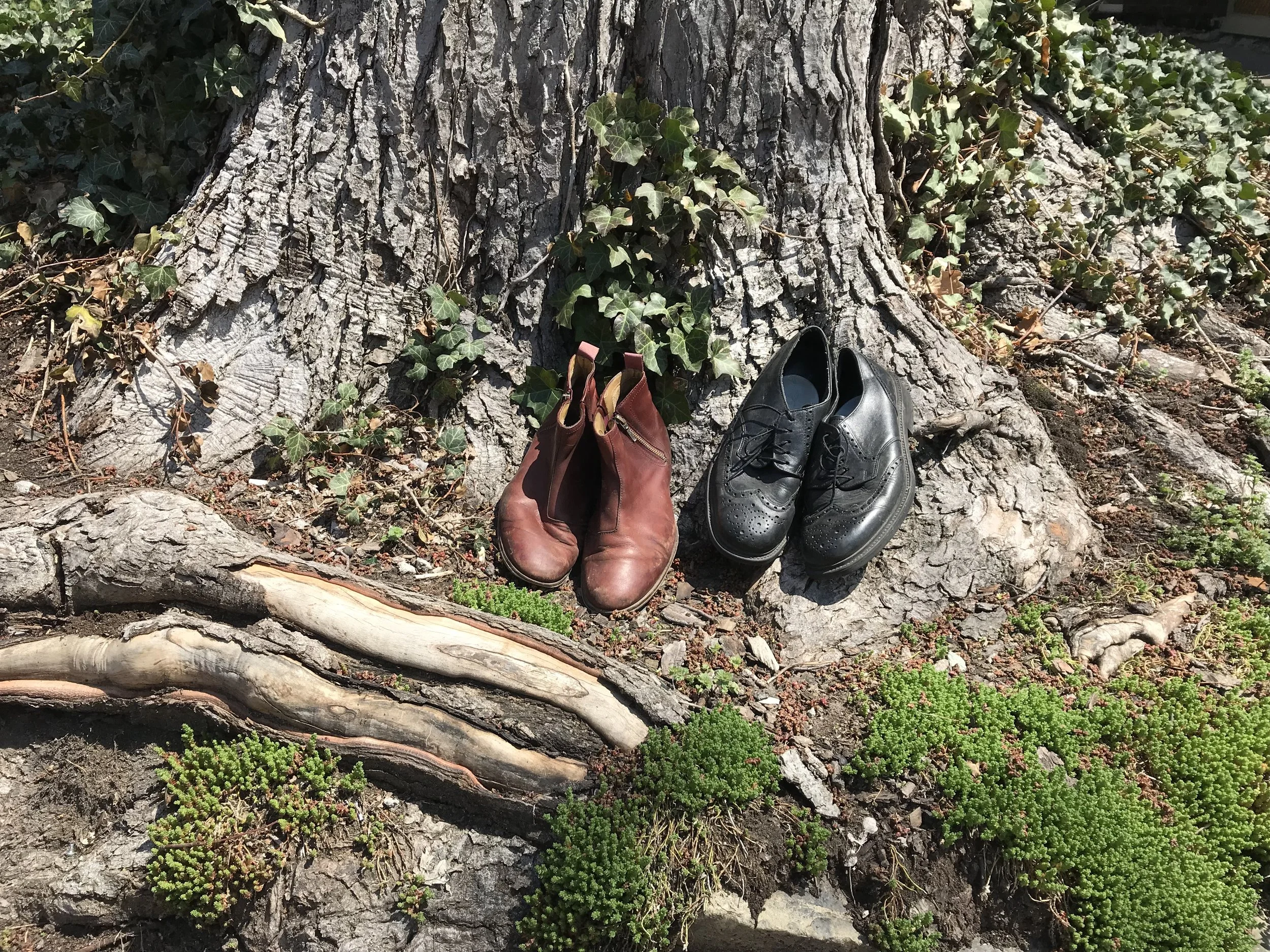   RE-ROUTED  - ONLY ONE WAY LEFT TO GO 