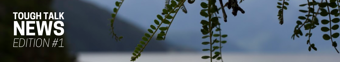 TT Newsletter banner2.png