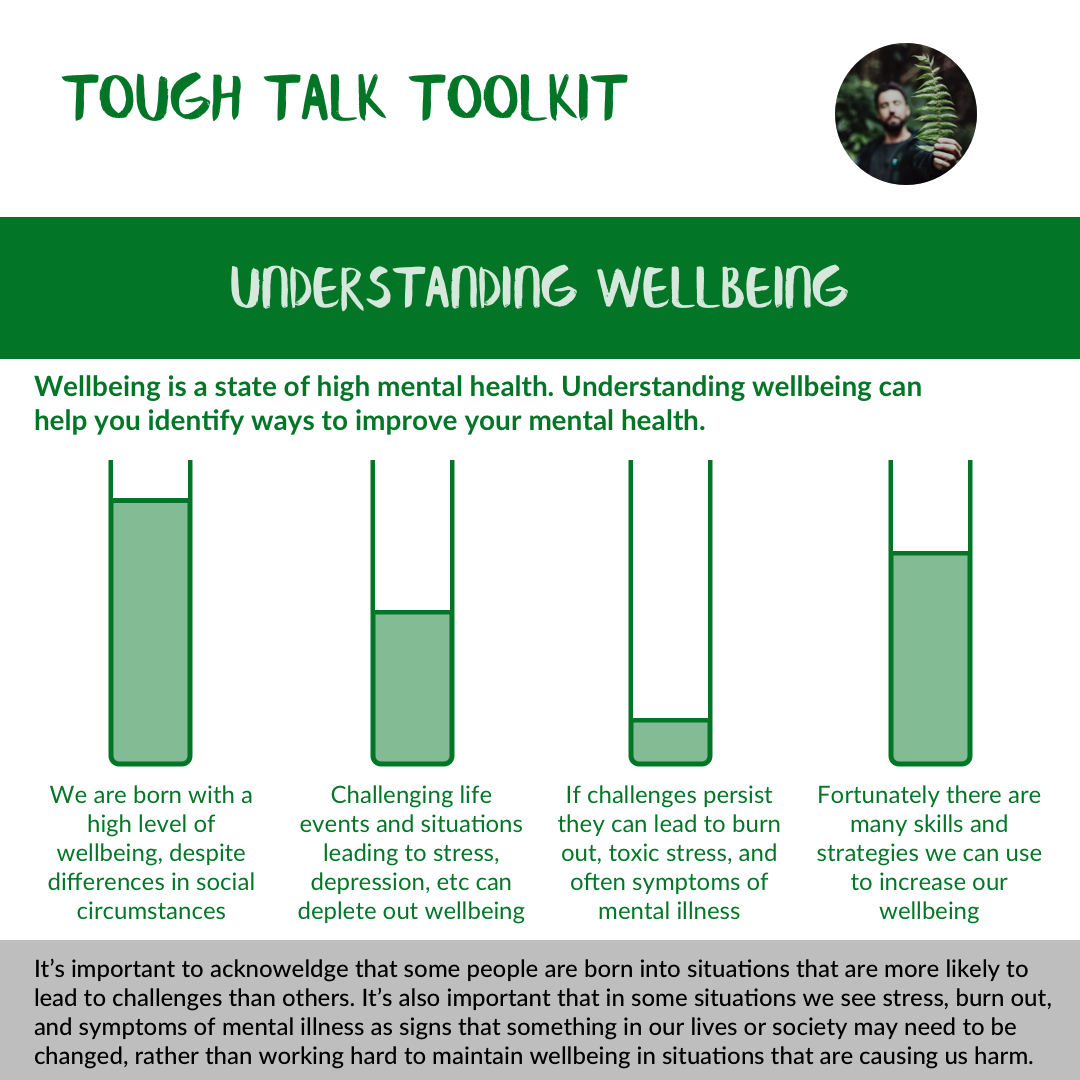 Understanding Wellbeing.png