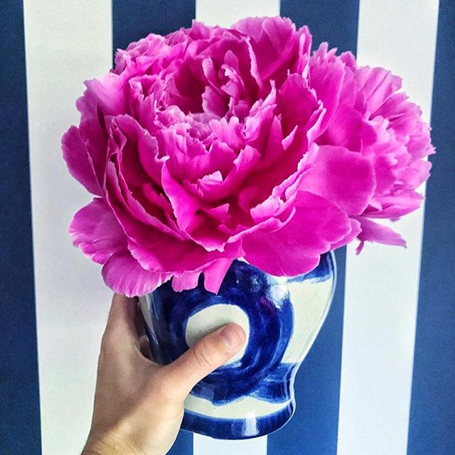 Flowers for your Friday via the delightful @dianarosespier (&amp; because fuchsia and navy is always the best idea)! Wishing you all a wonderful weekend! #weekendvibes #brushstrokegingerjar #blueandwhiteforever