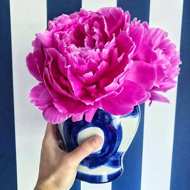 Flowers for your Friday via the delightful @dianarosespier (& because fuchsia and navy is always the best idea)! Wishing you all a wonderful weekend! #weekendvibes #brushstrokegingerjar #blueandwhiteforever