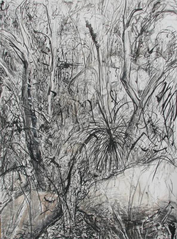 Xanthorhoea Ink on paper 75 X 56 cm