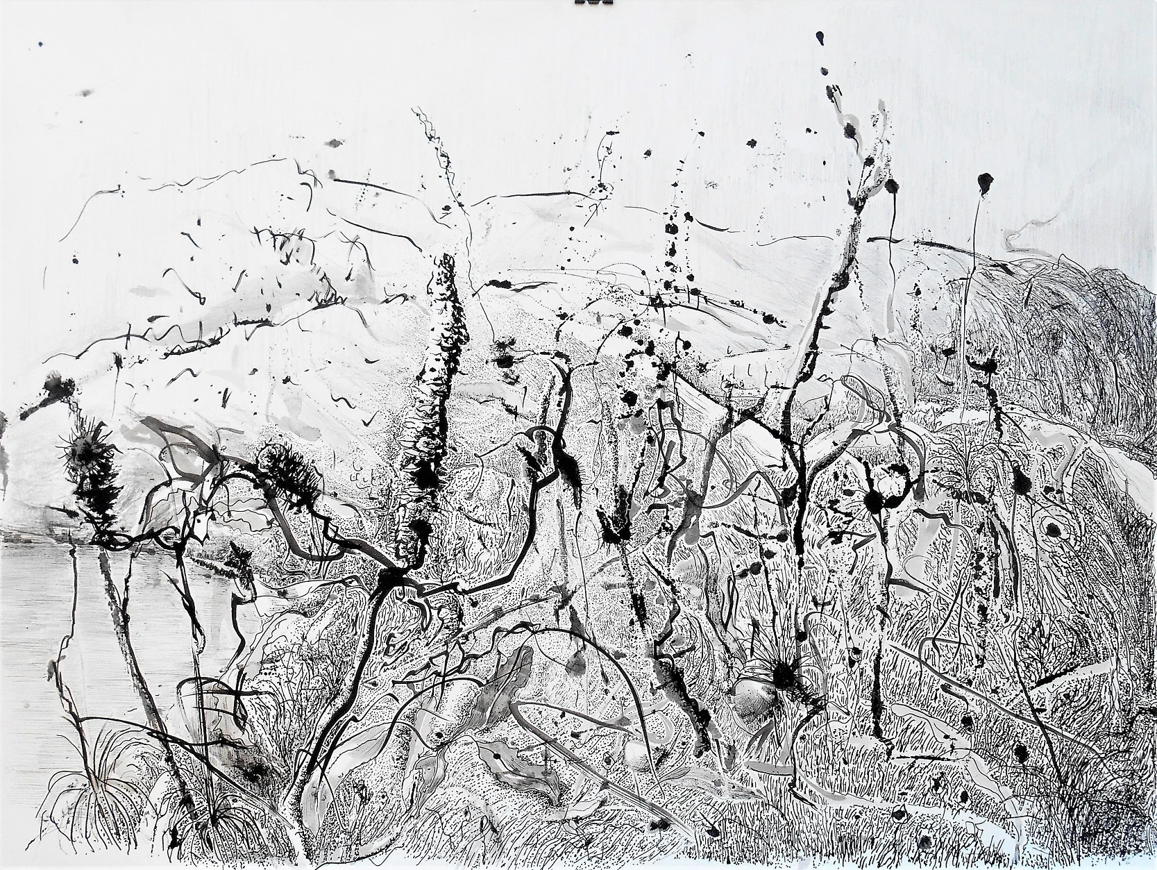  Banksia rhythms - pen &amp; ink on paper - 51 x 71 cm 