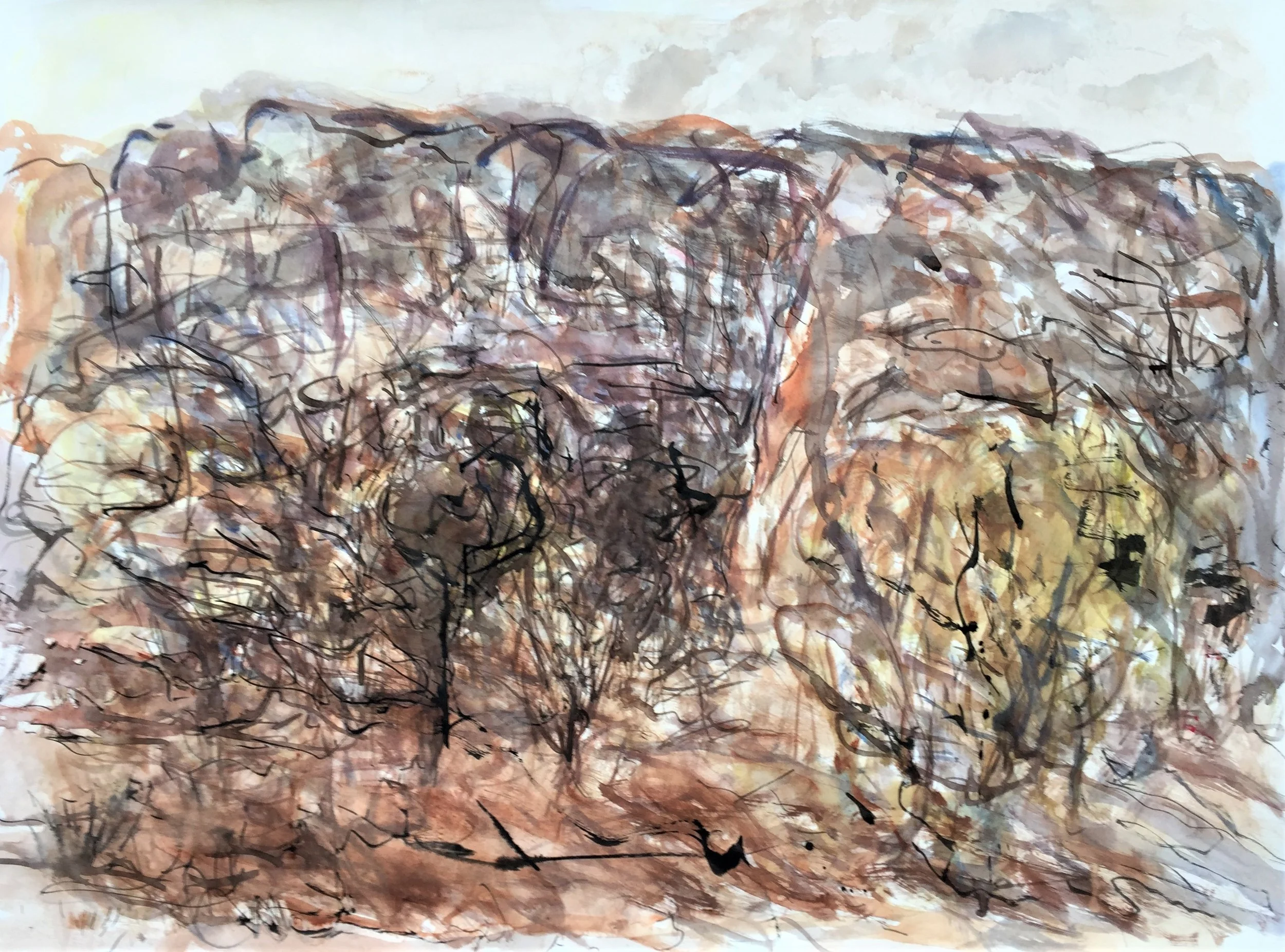  Gundabooka landscape.    Watercolour and ink on paper.   50 x 50 cm 
